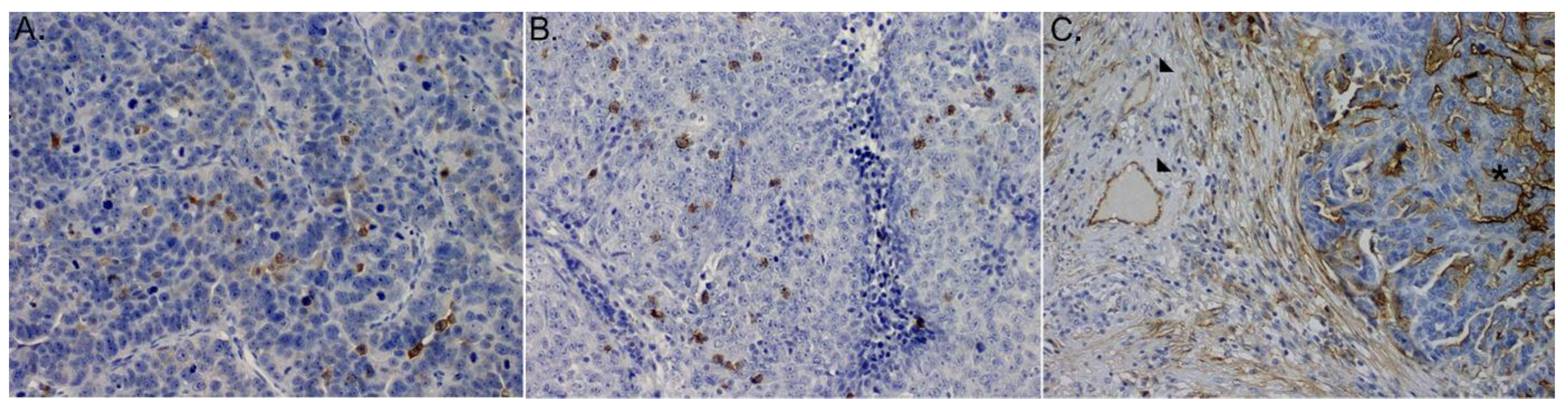 Medicina 58 00588 g001 550