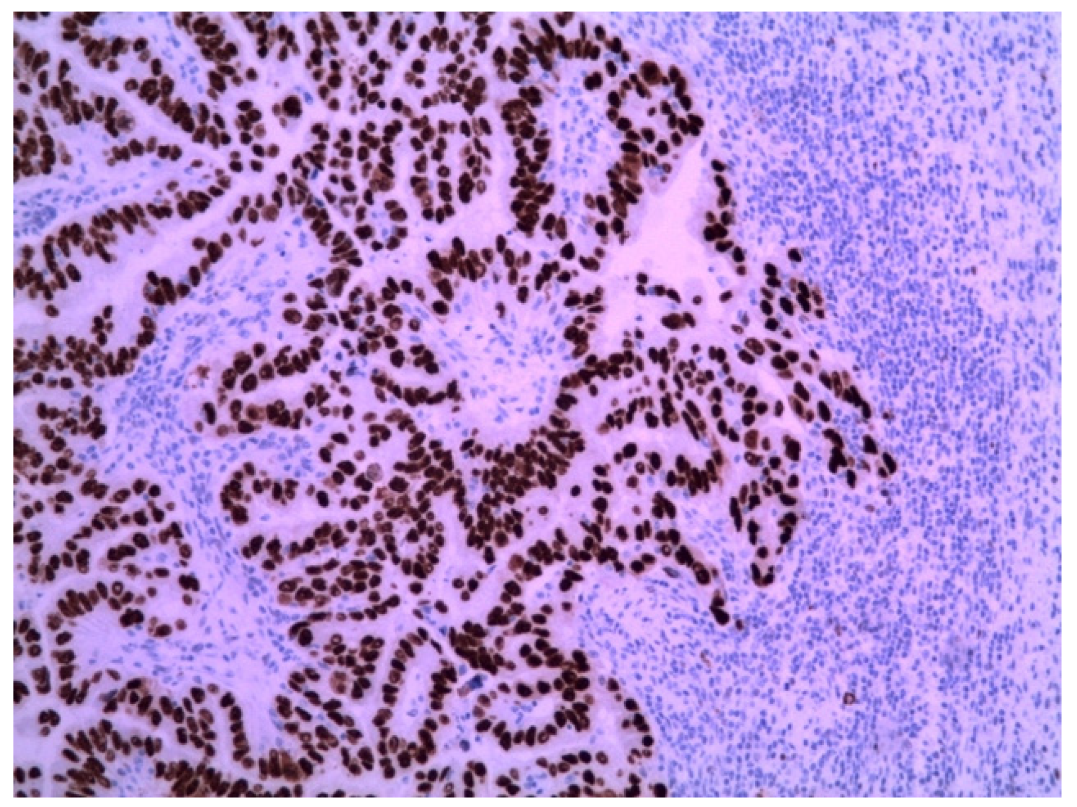 Medicina 58 00592 g003