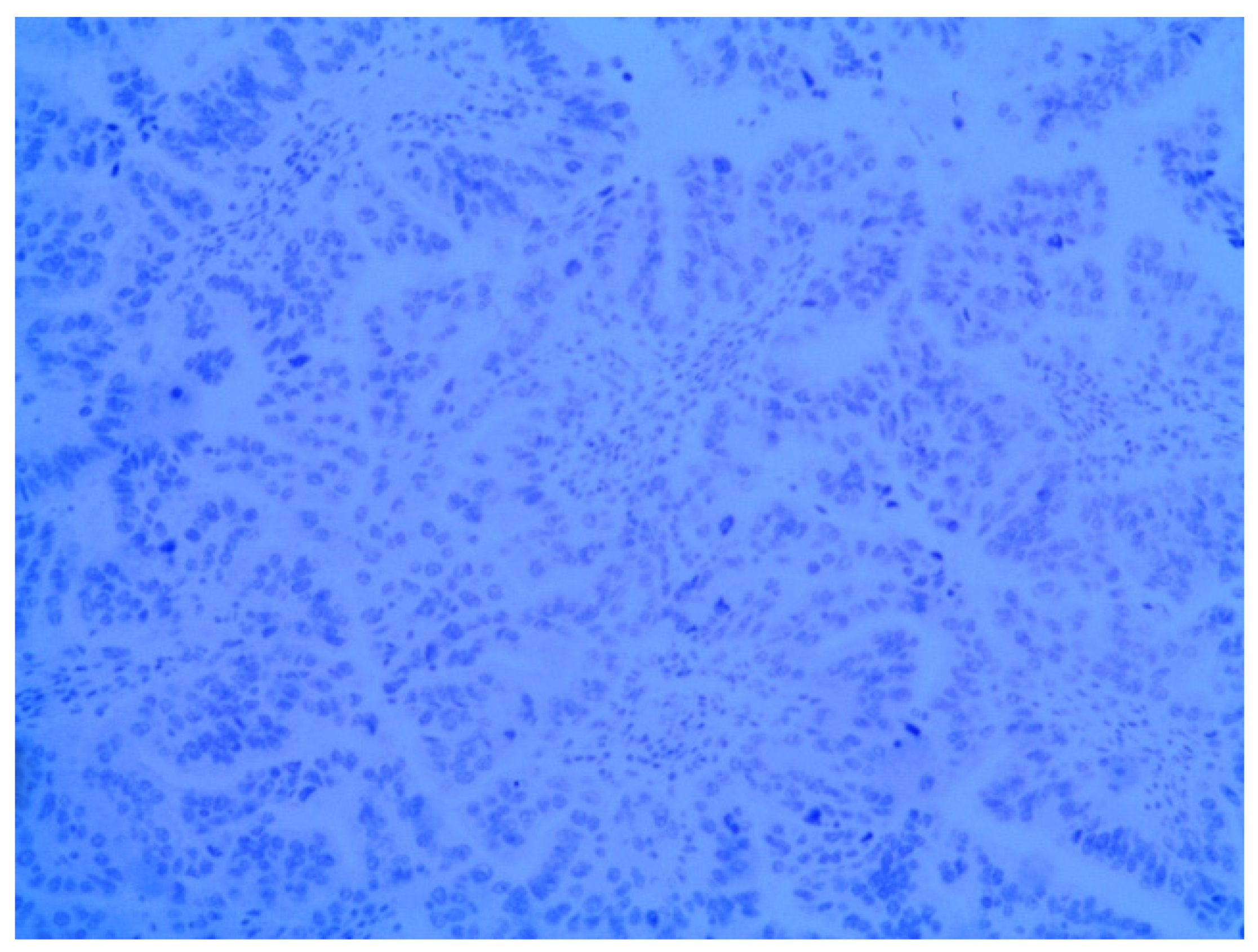 Medicina 58 00592 g005