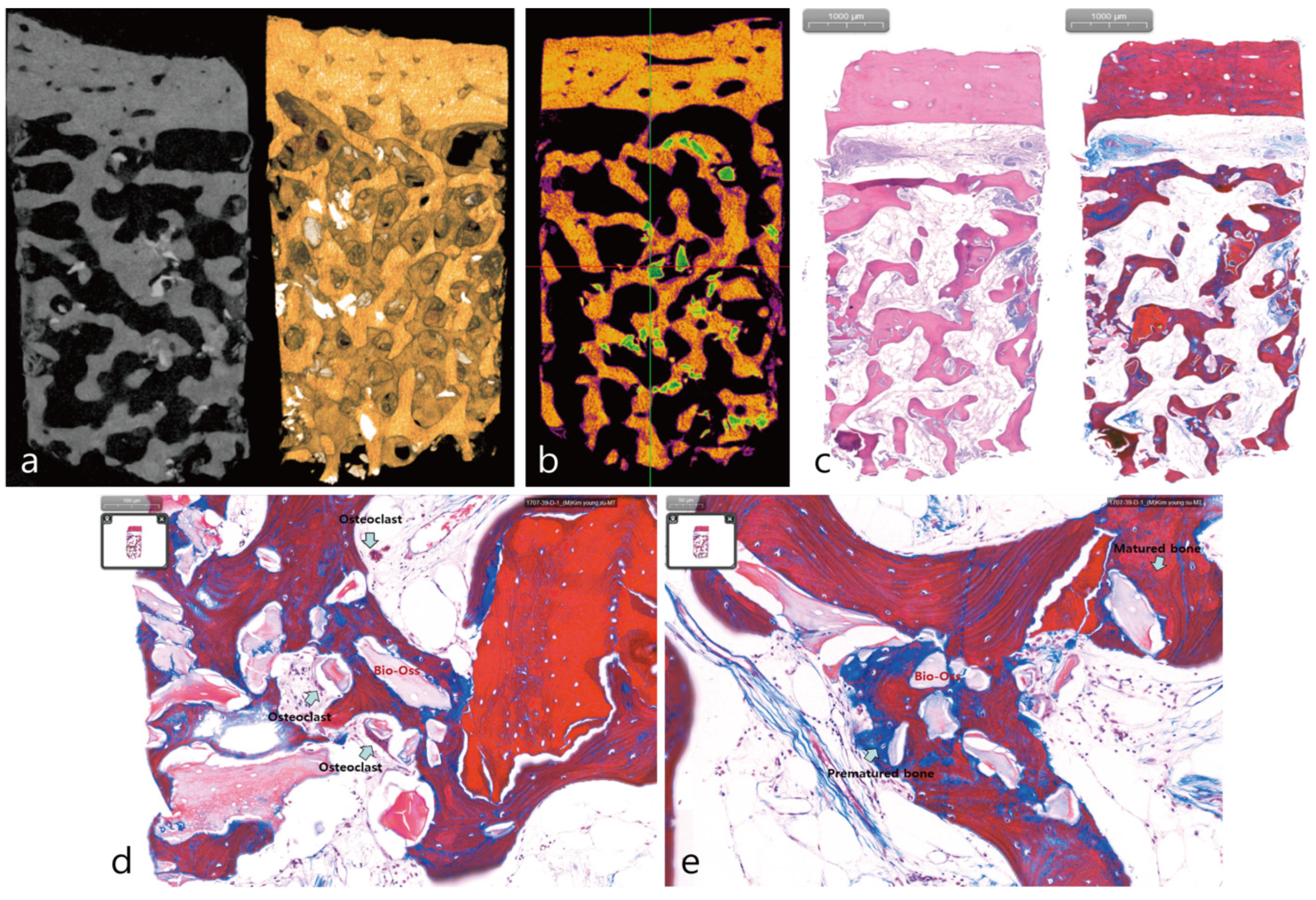Medicina 58 00598 g003 550