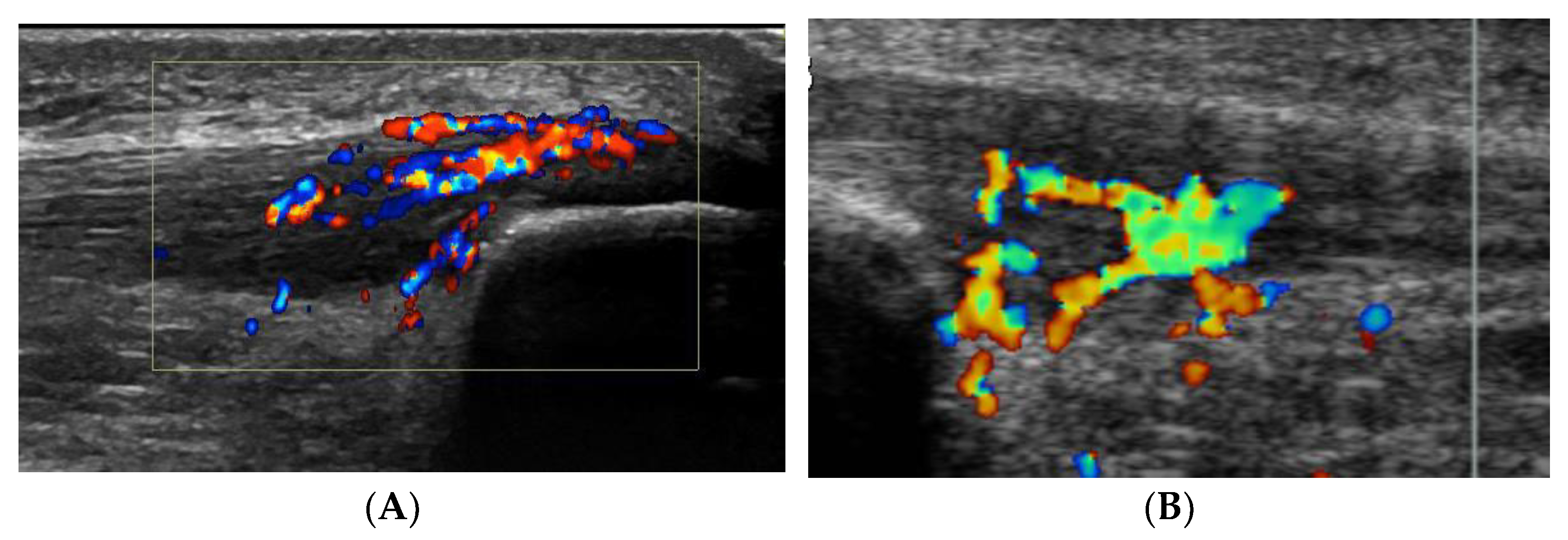 Medicina 58 00601 g001