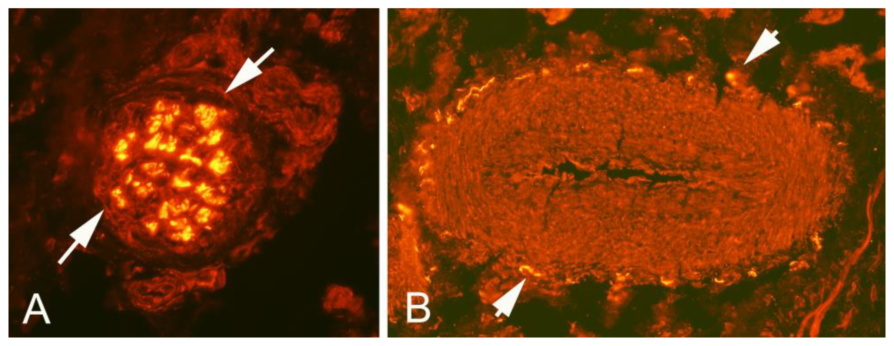 Medicina 58 00601 g003