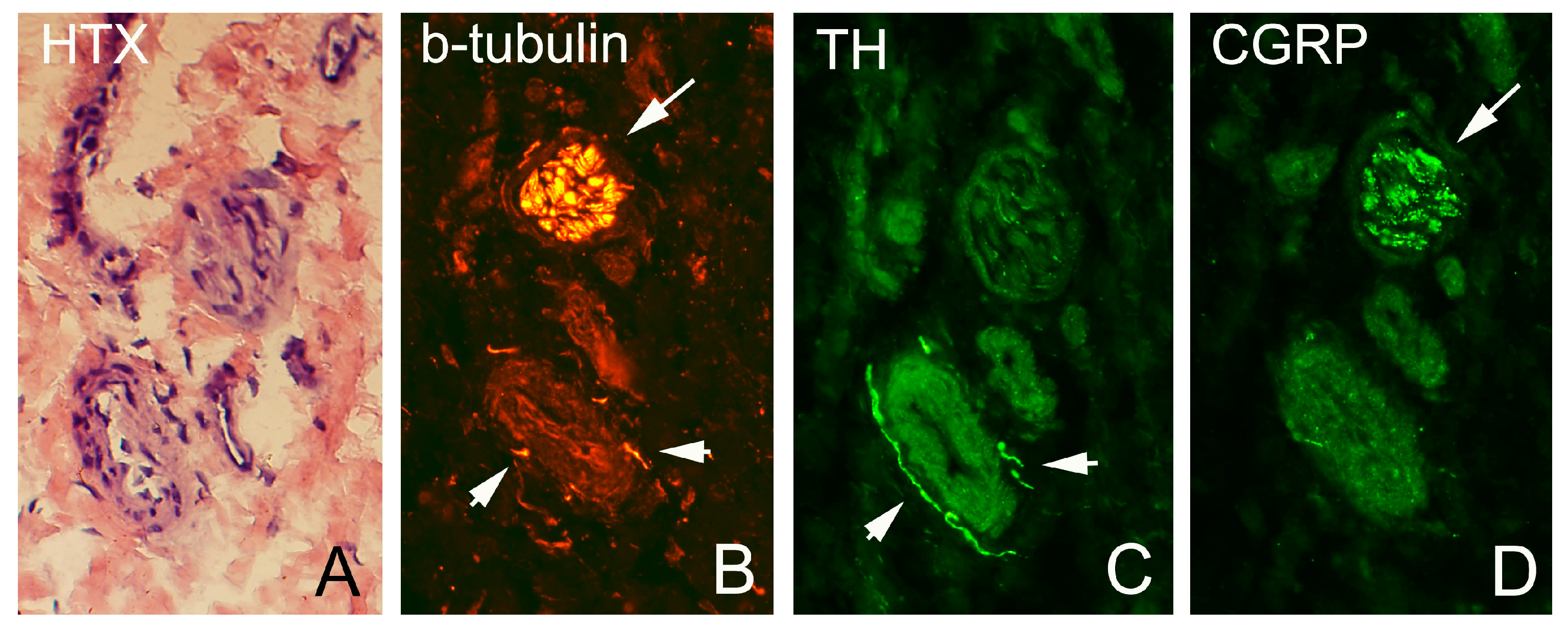 Medicina 58 00601 g004