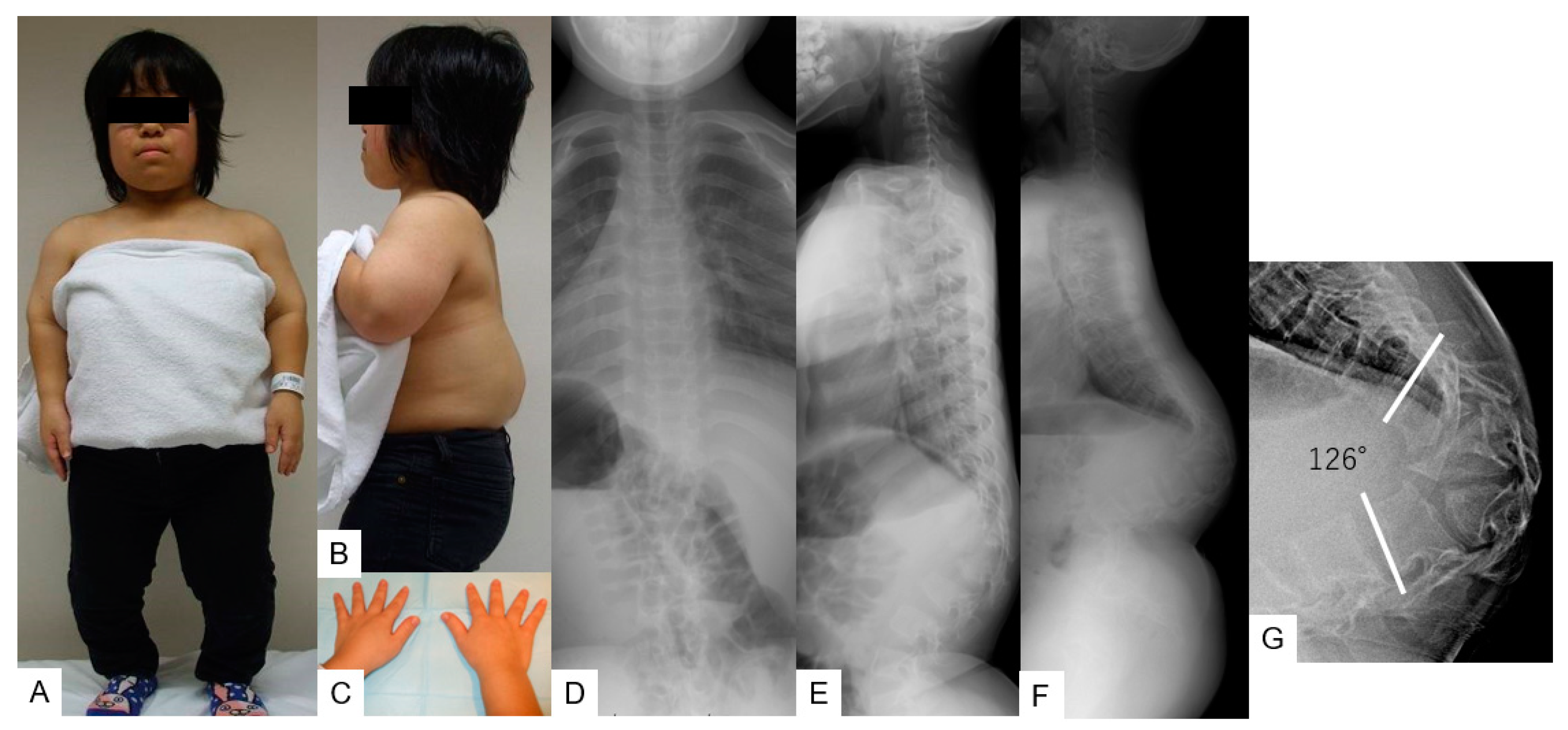 Medicina 58 00605 g001 550