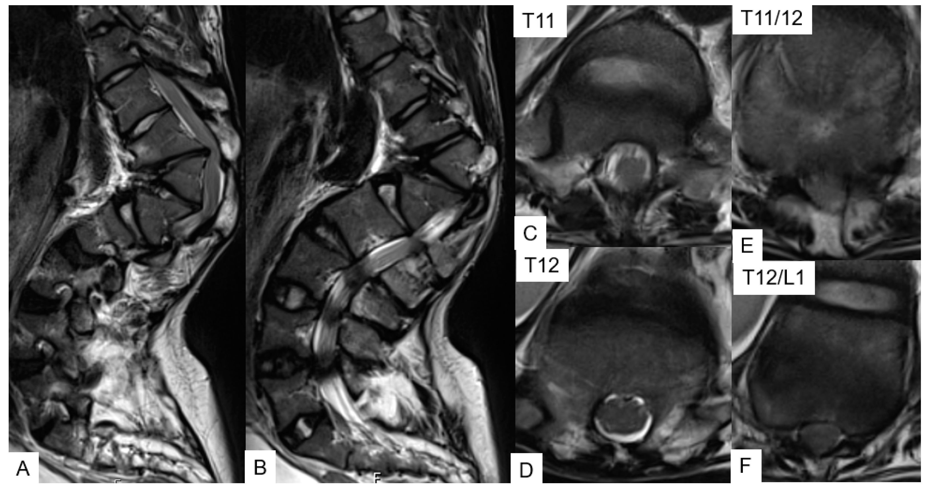 Medicina 58 00605 g010 550