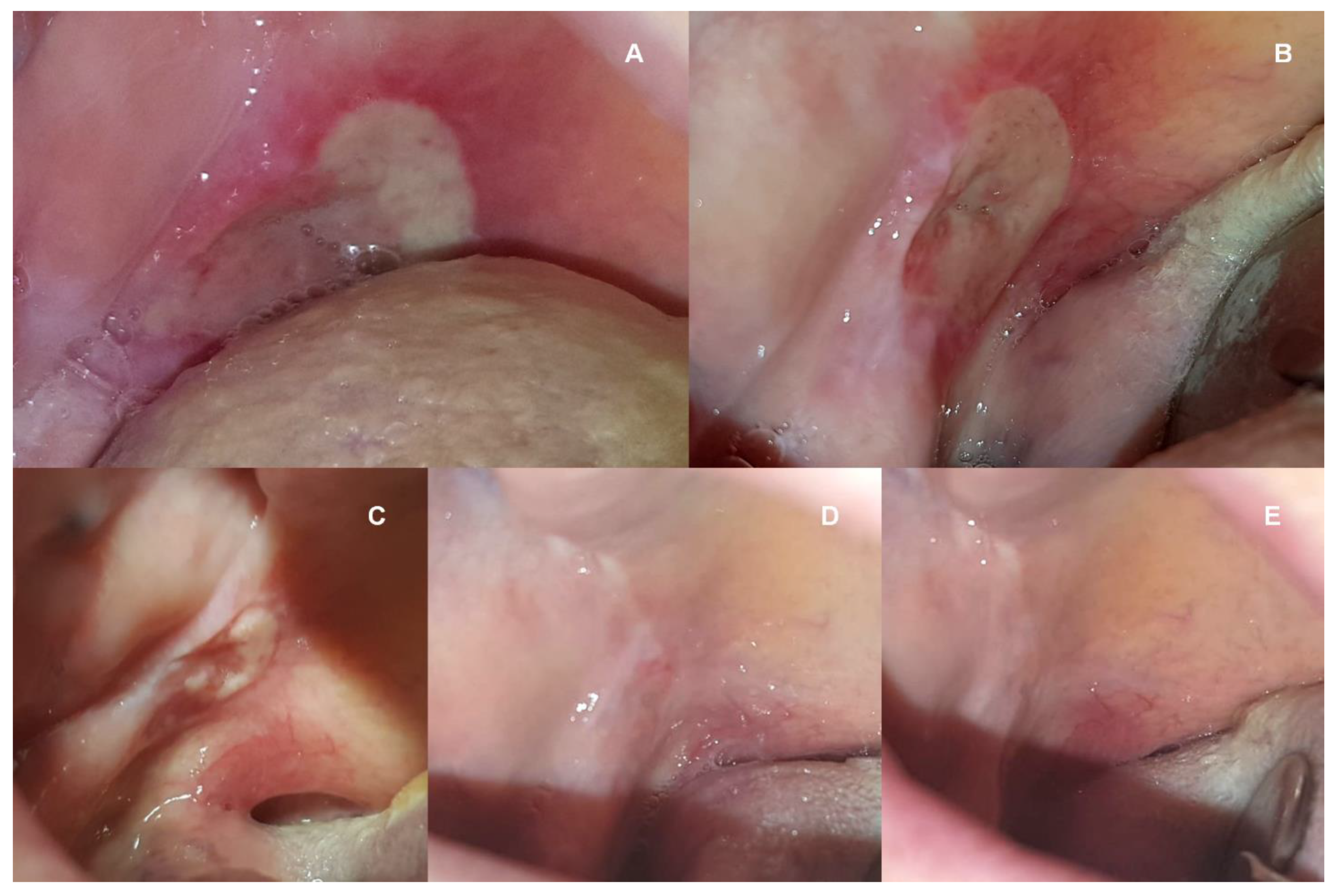 Medicina 58 00618 g002 550