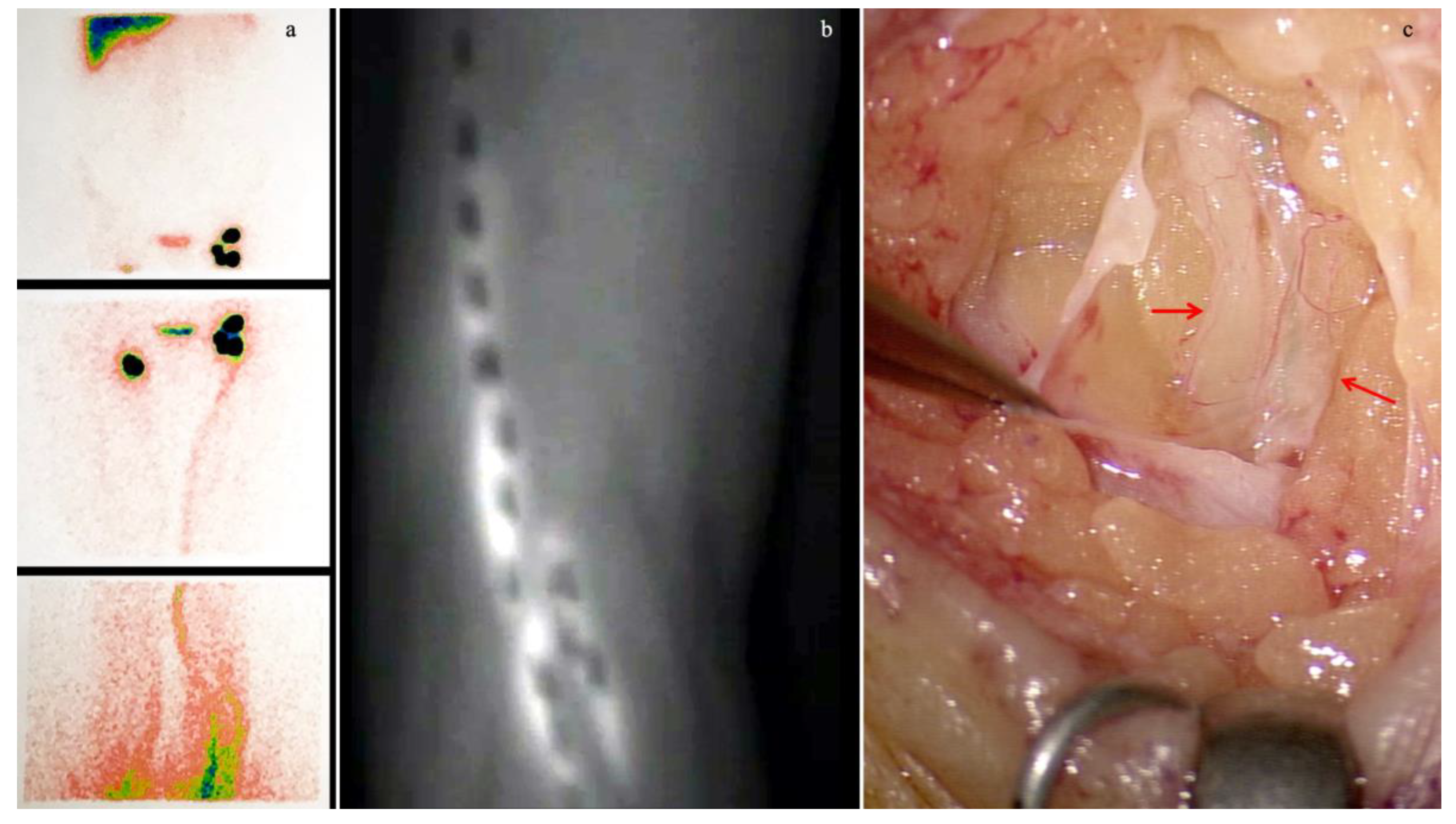 Medicina 58 00631 g001 550