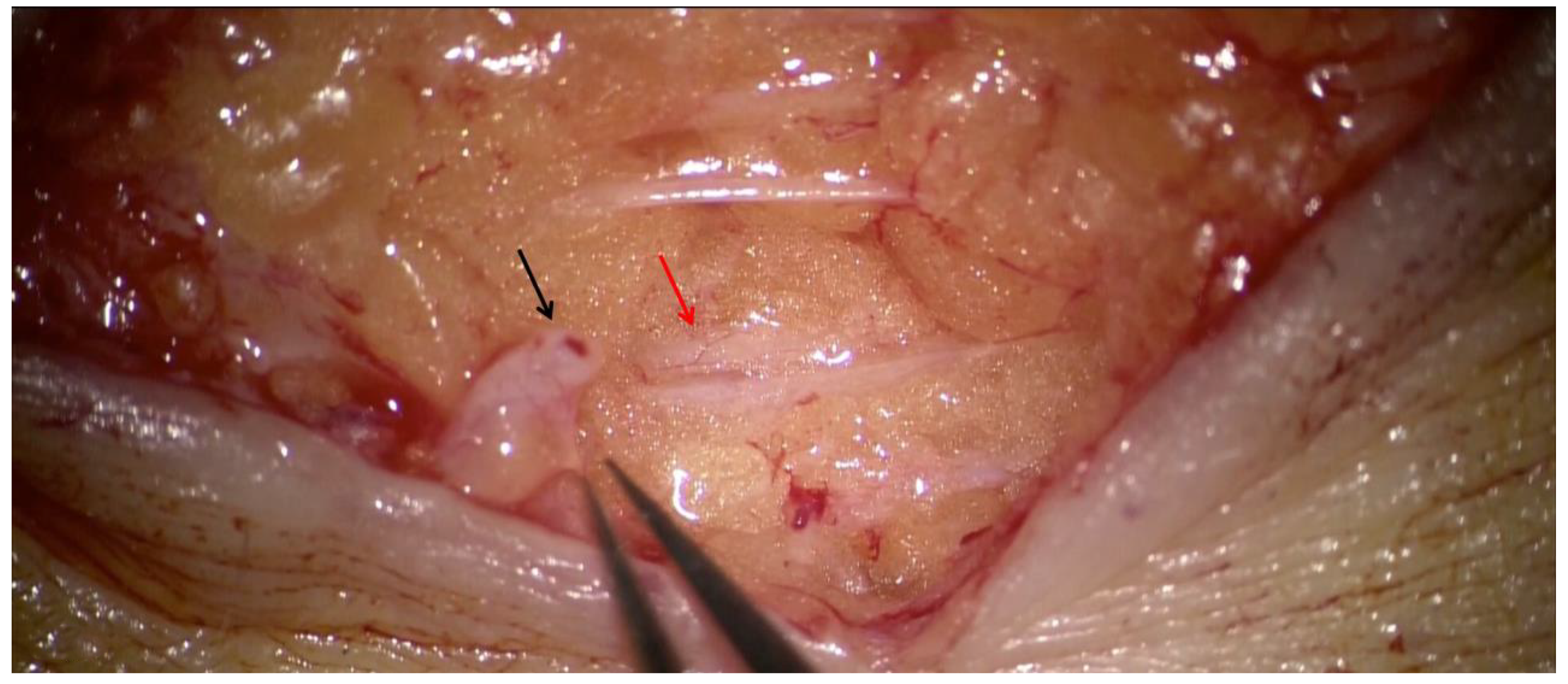 Medicina 58 00631 g004 550