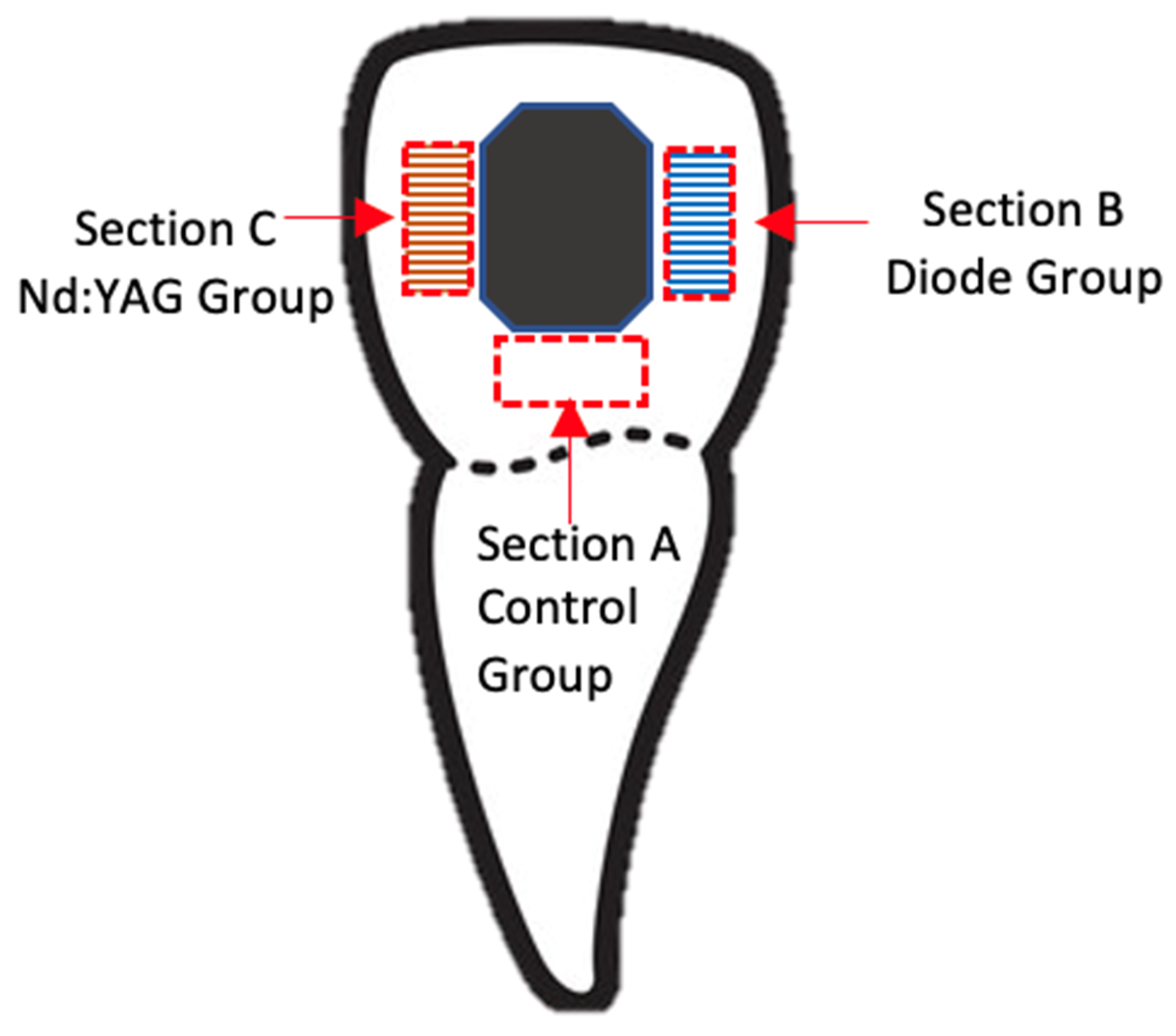 Medicina 58 00633 g001