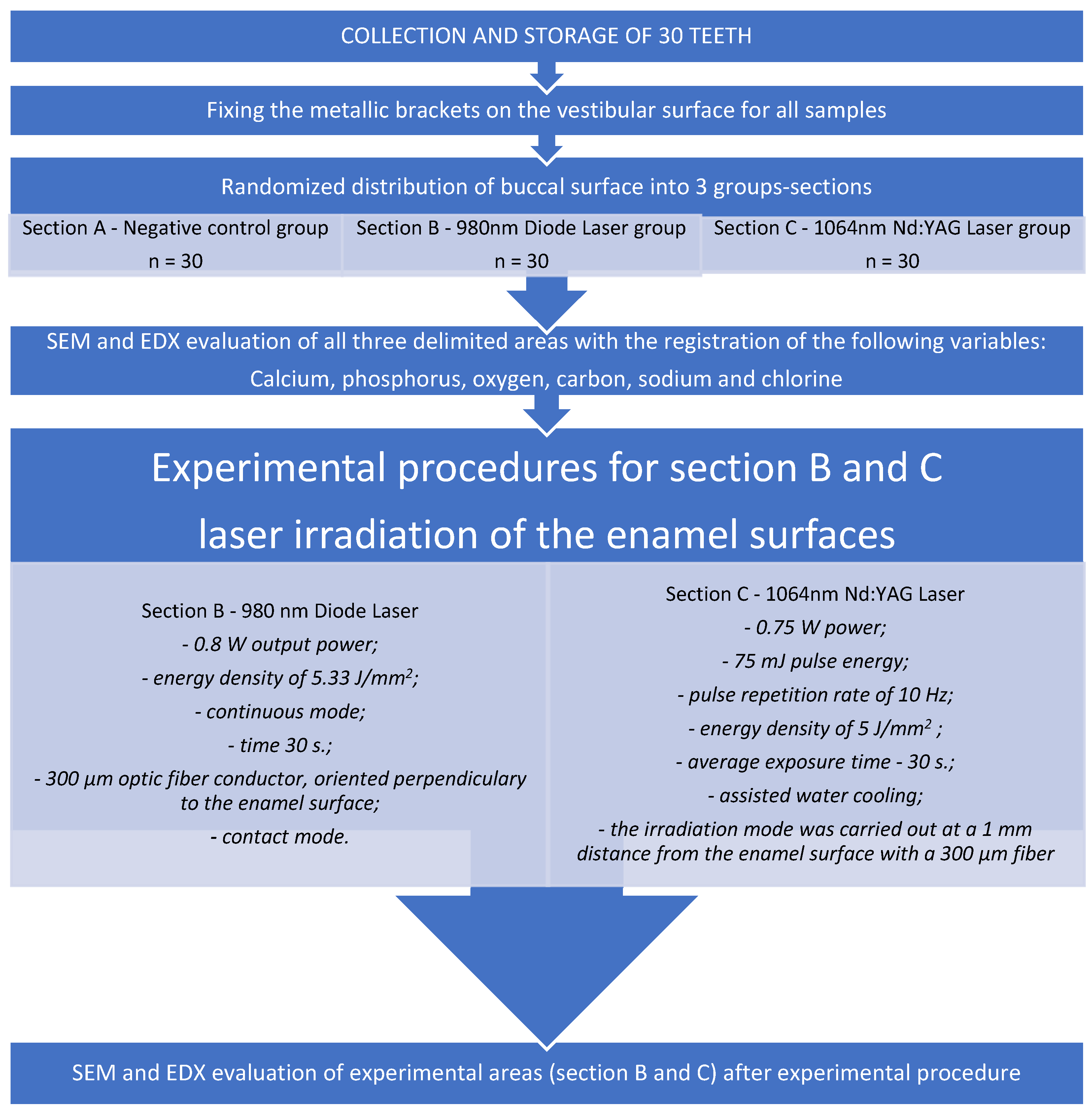 Medicina 58 00633 g002