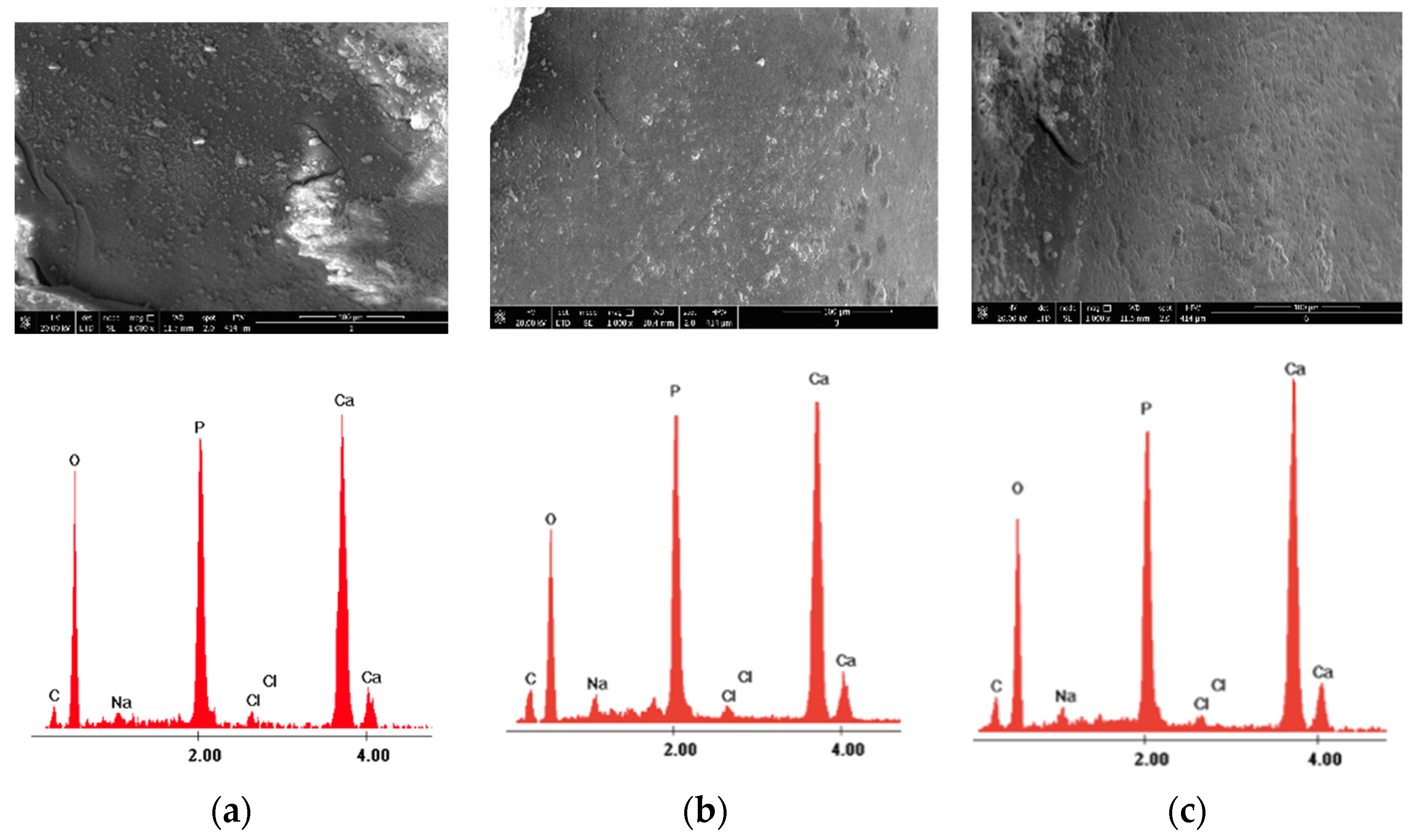 Medicina 58 00633 g003