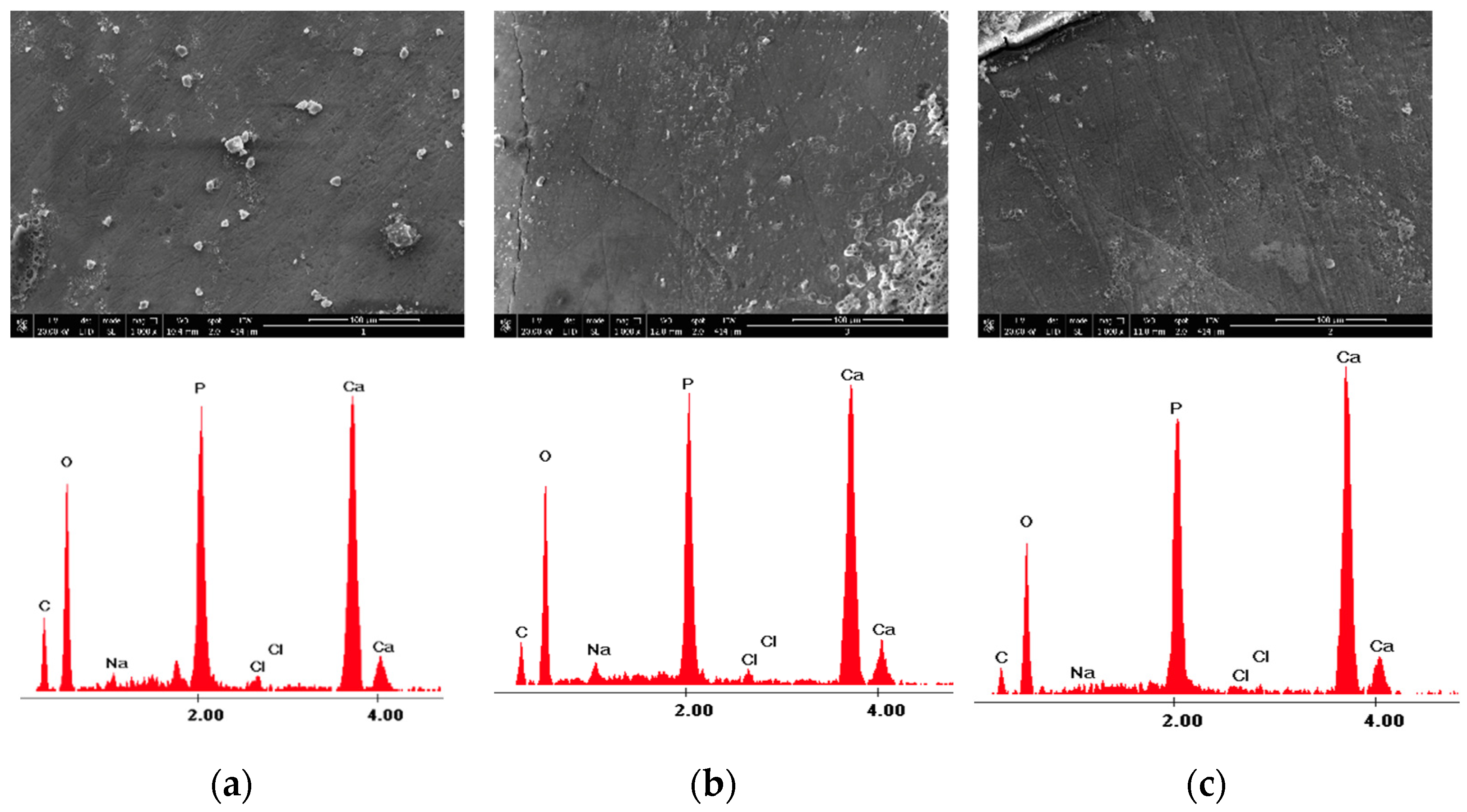 Medicina 58 00633 g004