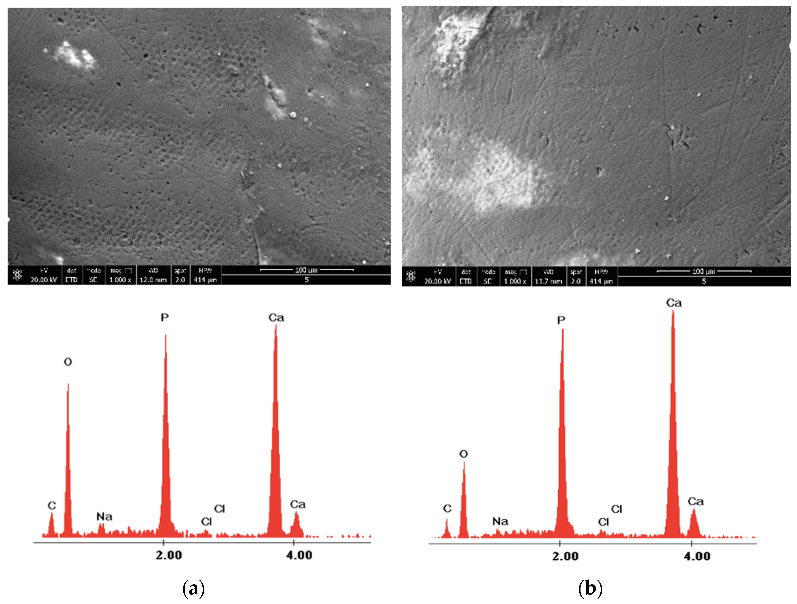 Medicina 58 00633 g005