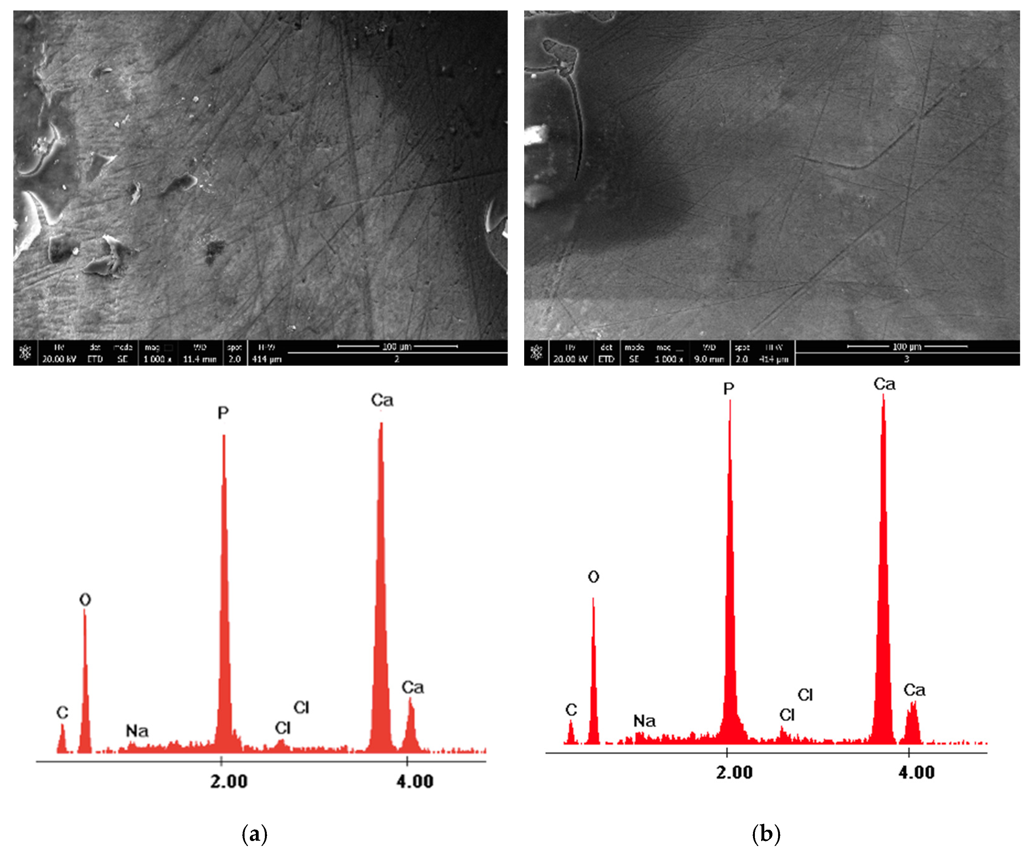 Medicina 58 00633 g006