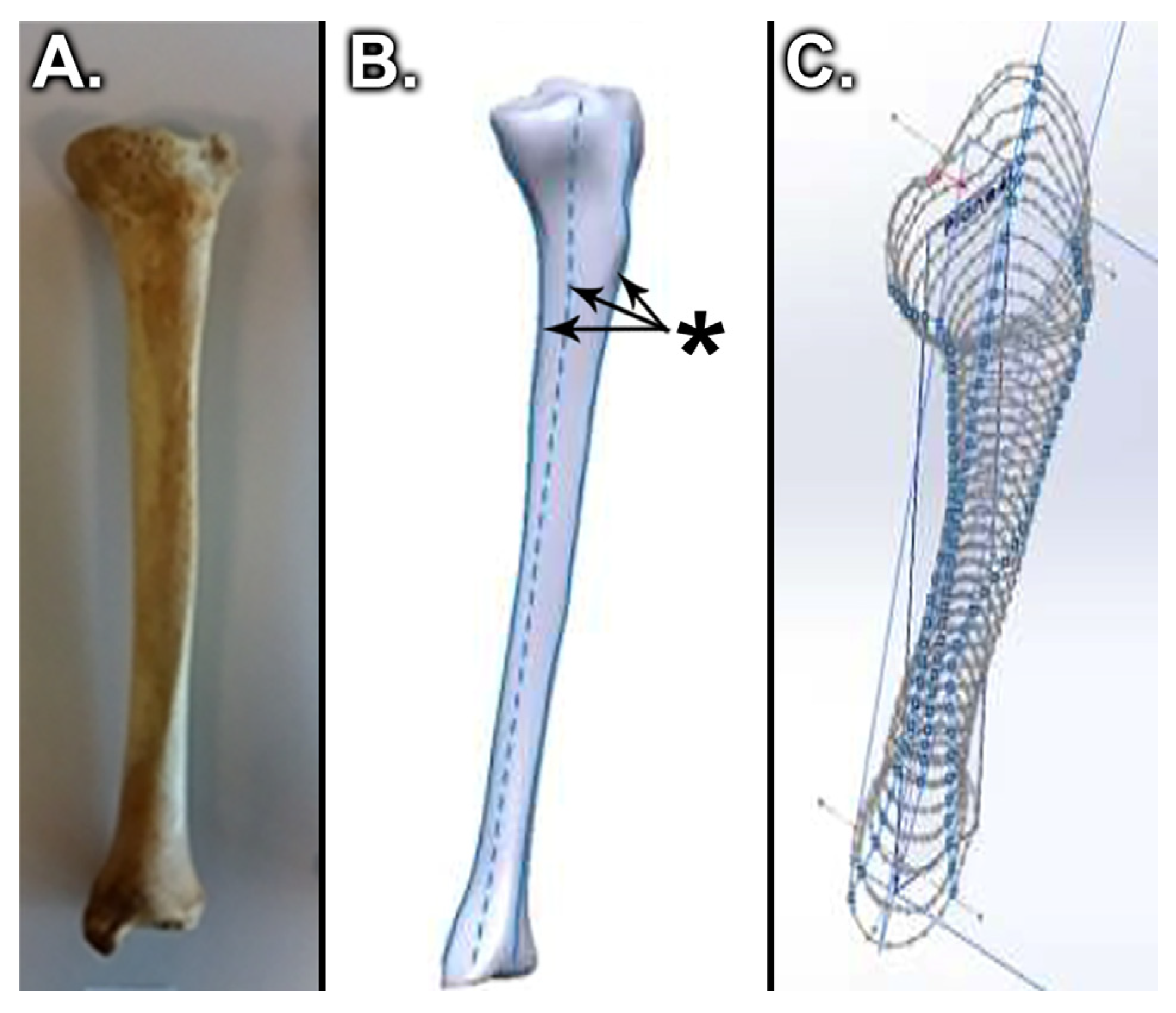 Medicina 58 00634 g002
