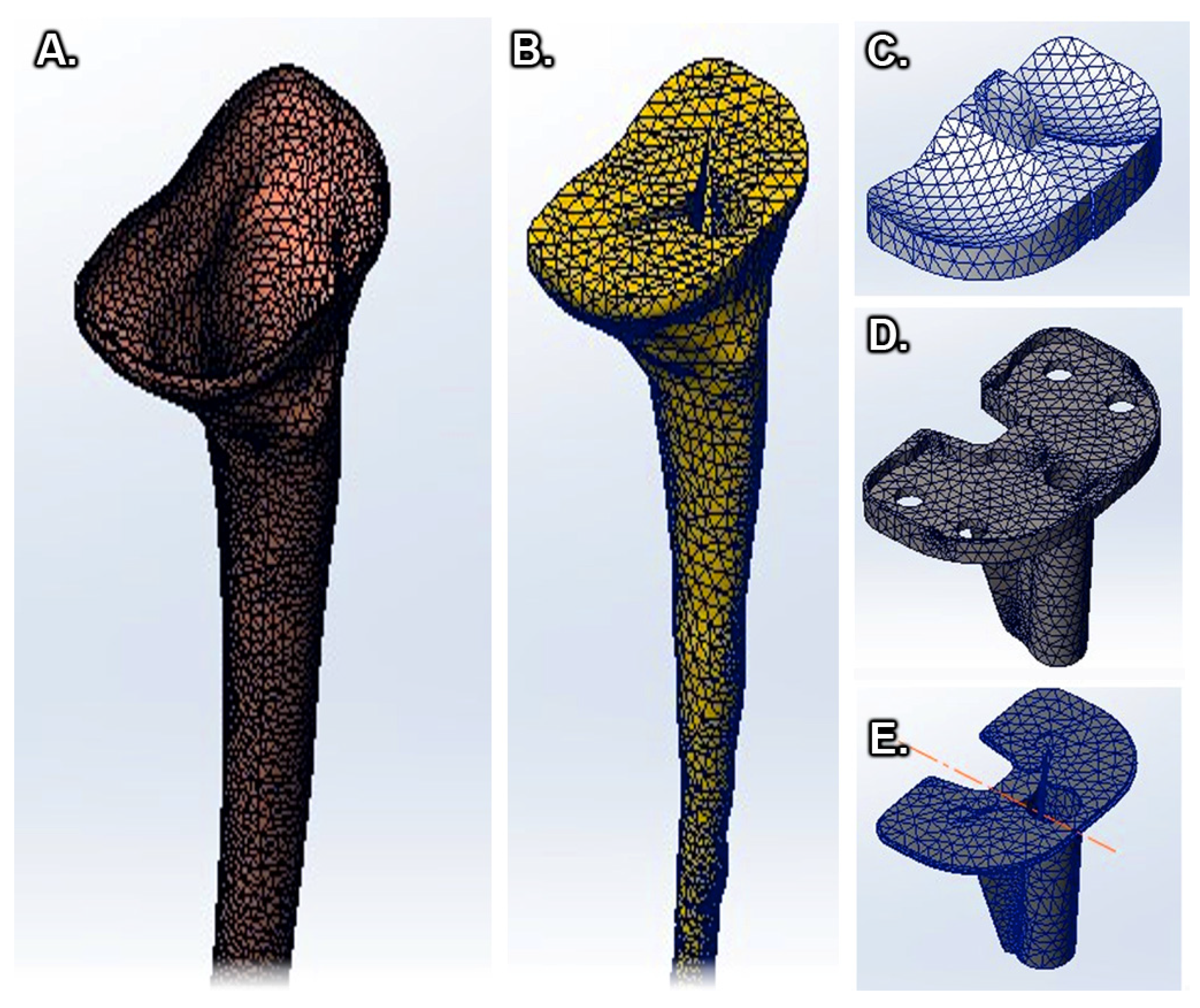 Medicina 58 00634 g005