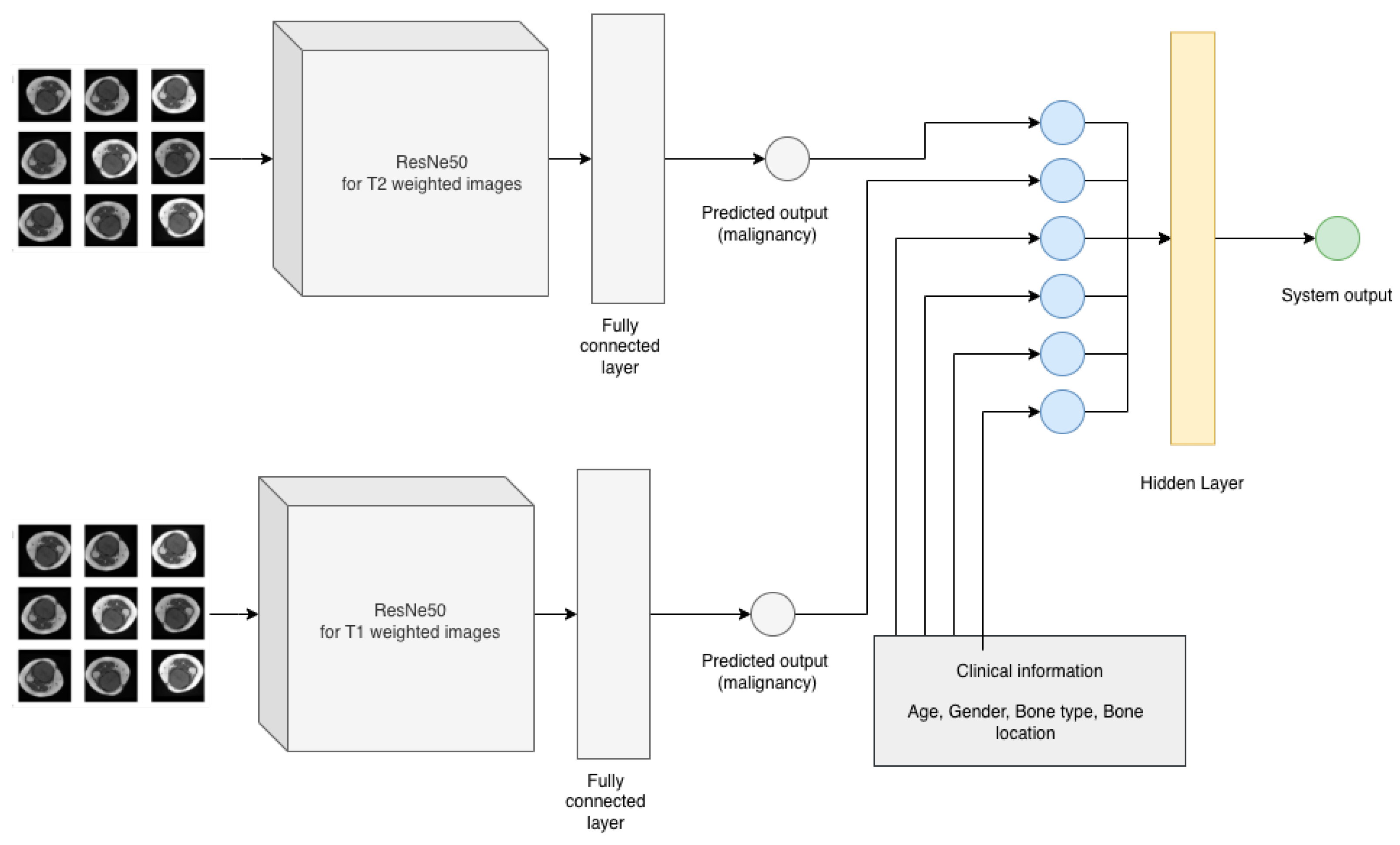 Medicina 58 00636 g004 550
