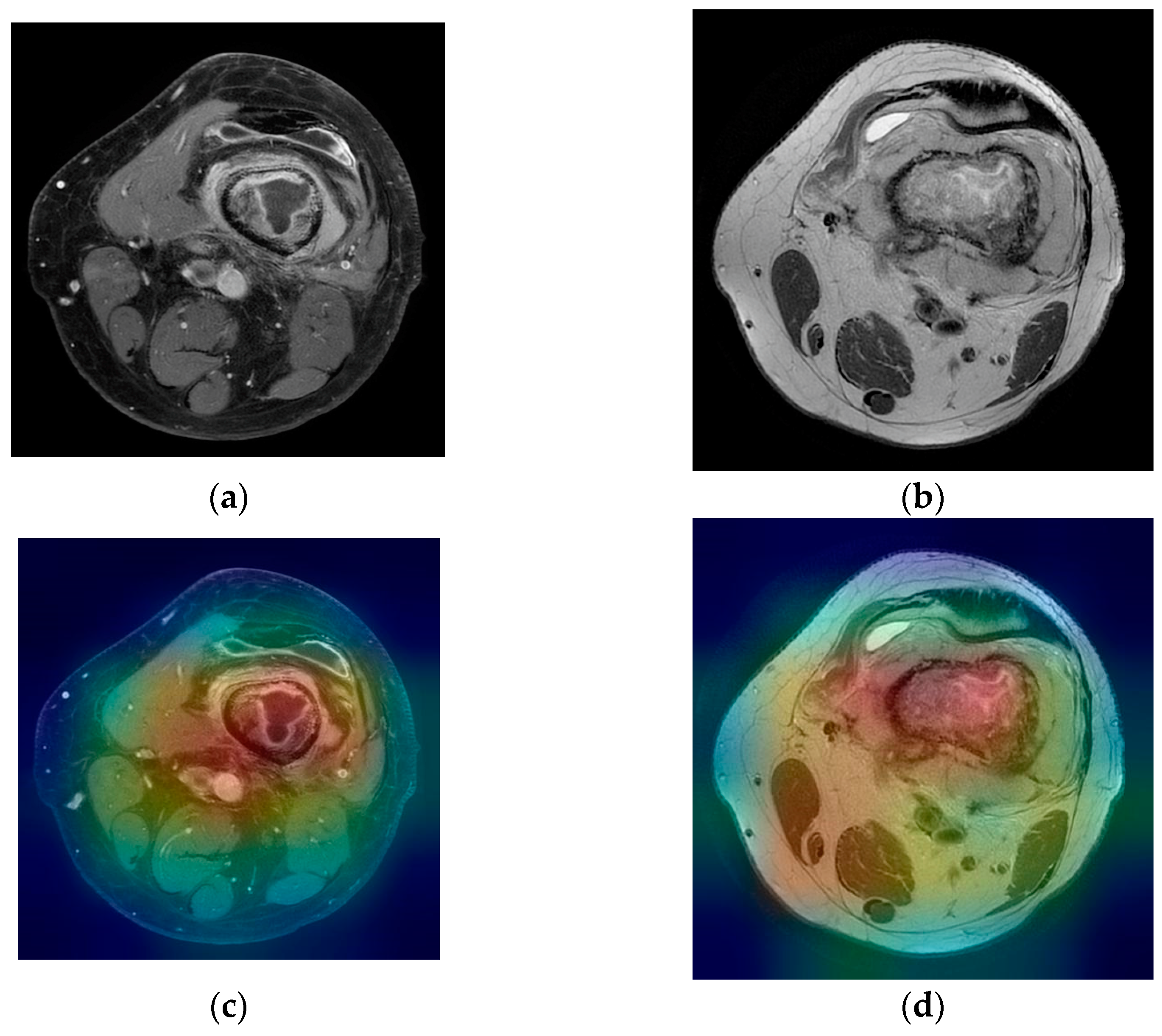 Medicina 58 00636 g008 550