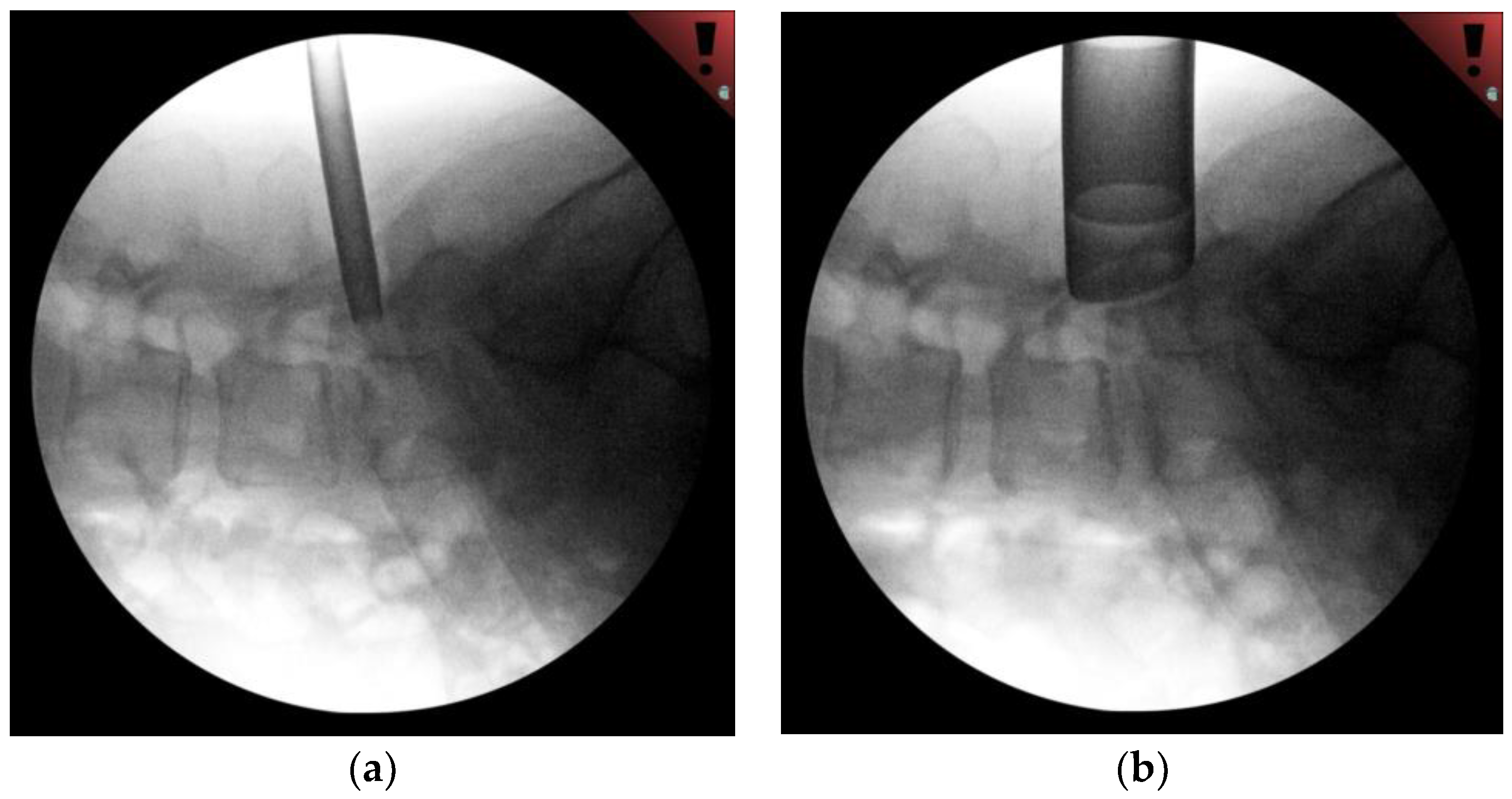 Medicina 58 00640 g002