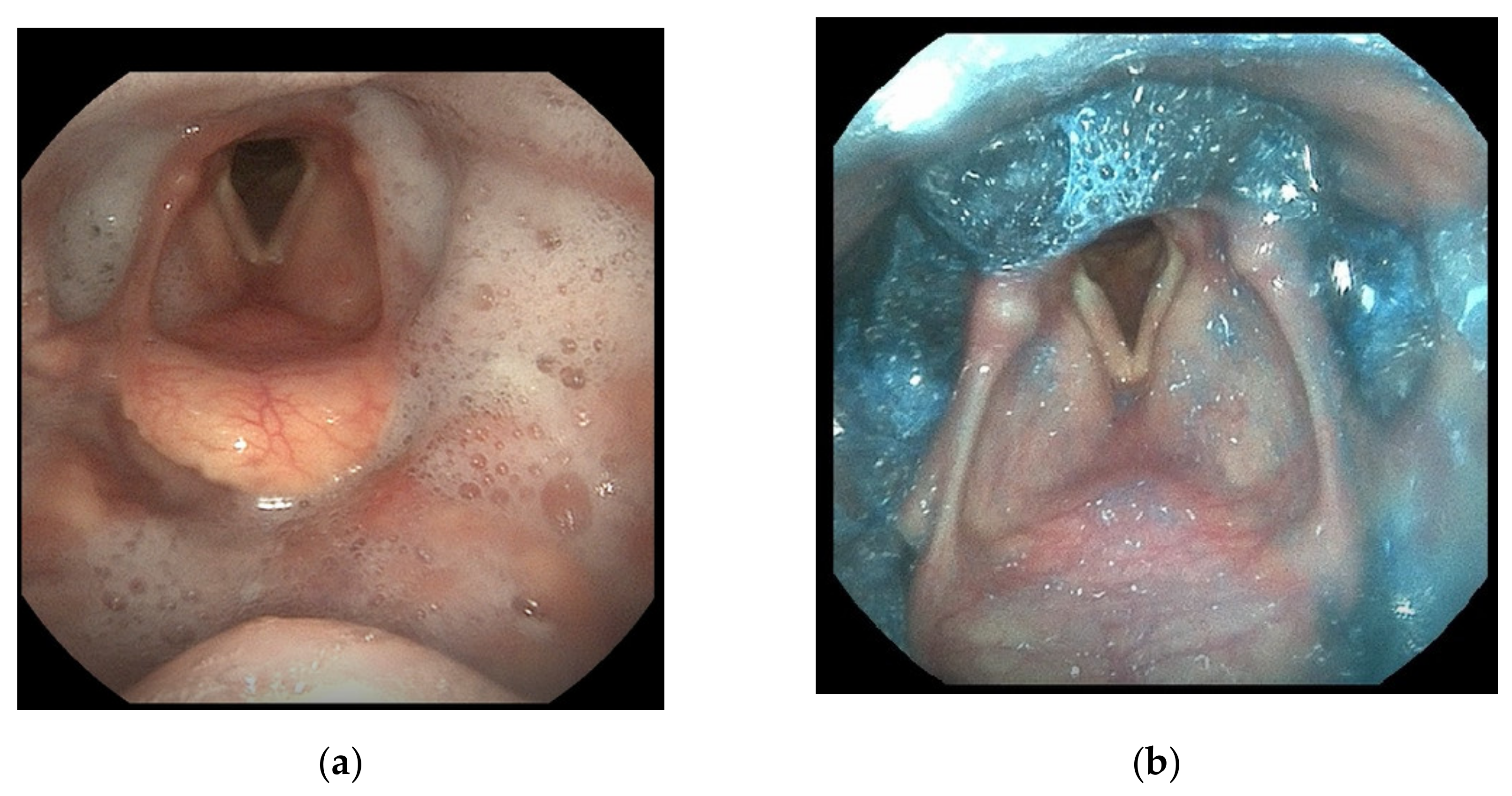 Medicina 58 00647 g001
