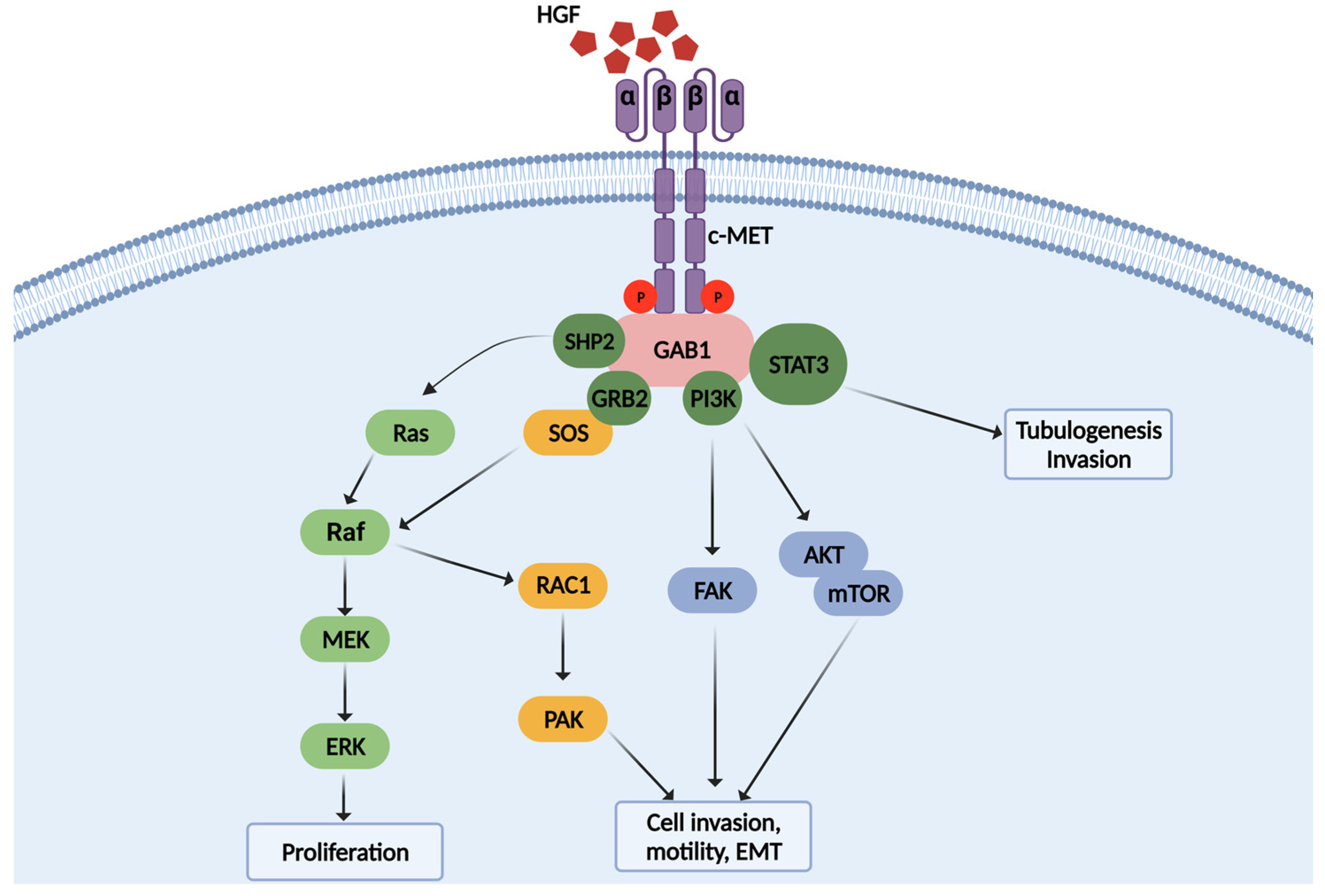 Medicina 58 00649 g002