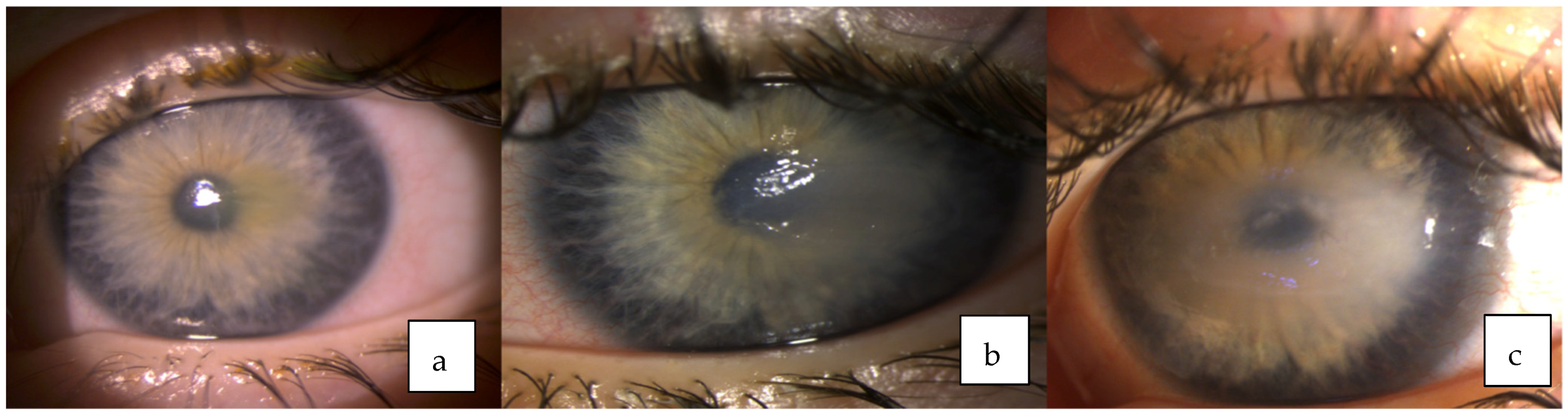 Medicina 58 00657 g002