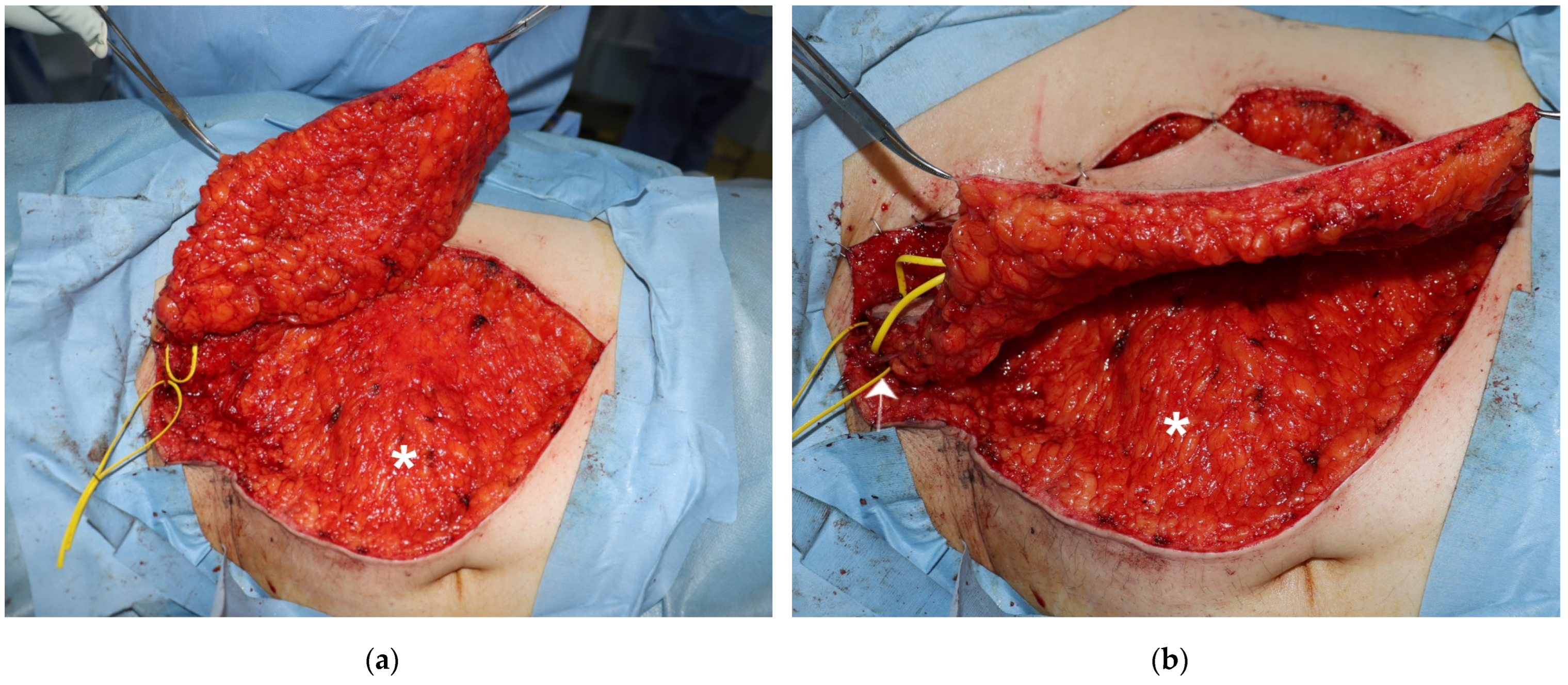 Medicina 58 00670 g001 550