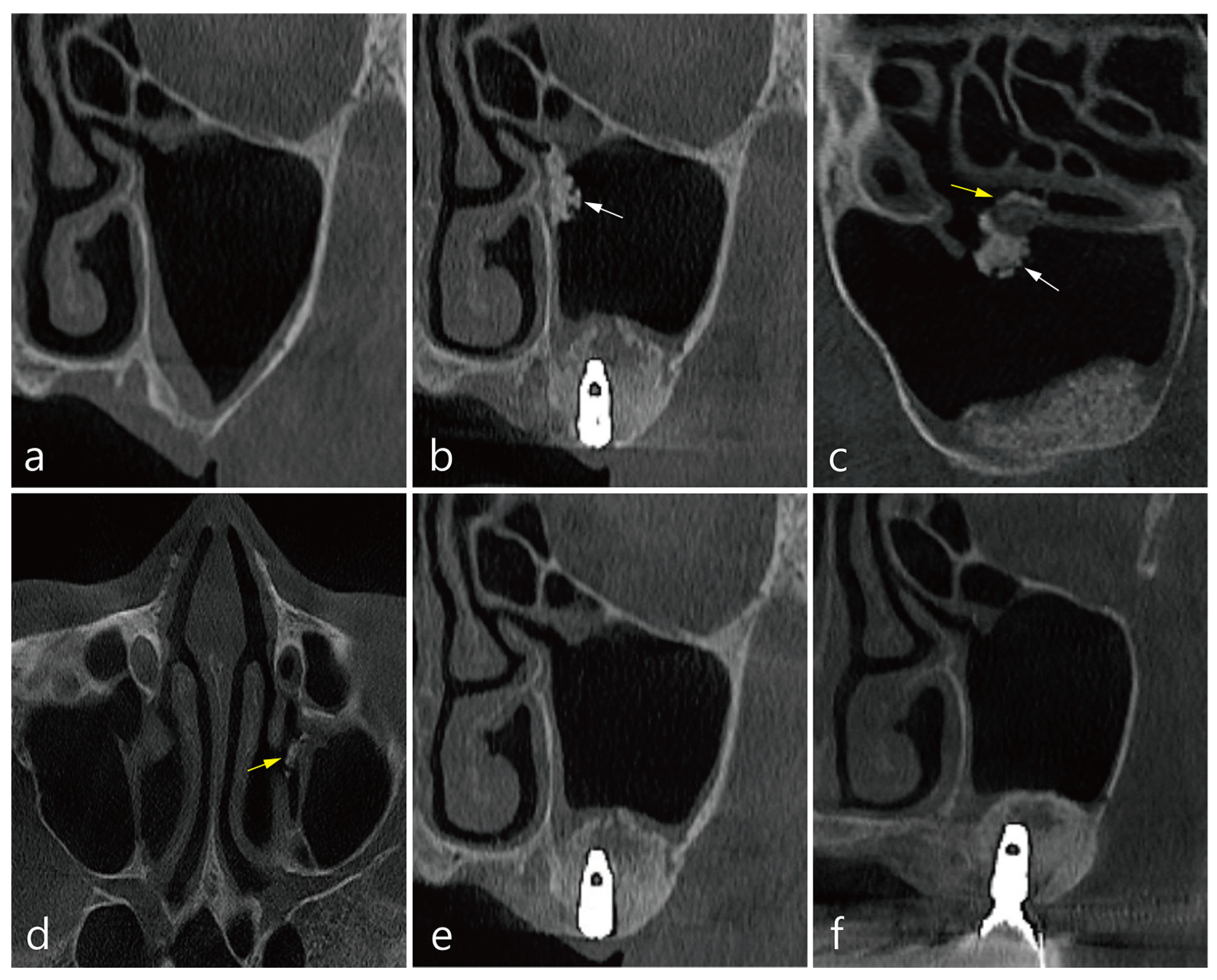 Medicina 58 00672 g001 550