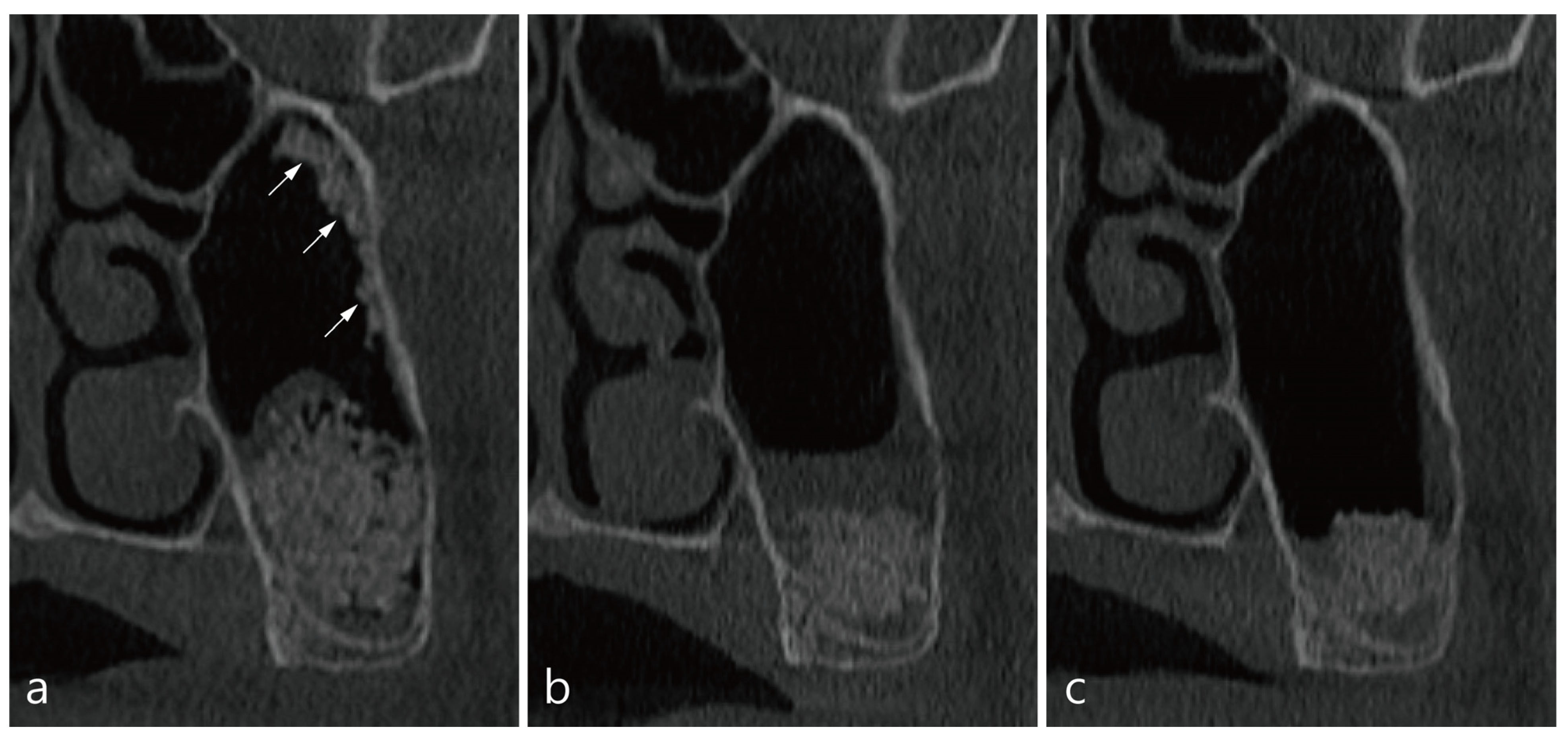 Medicina 58 00672 g003 550