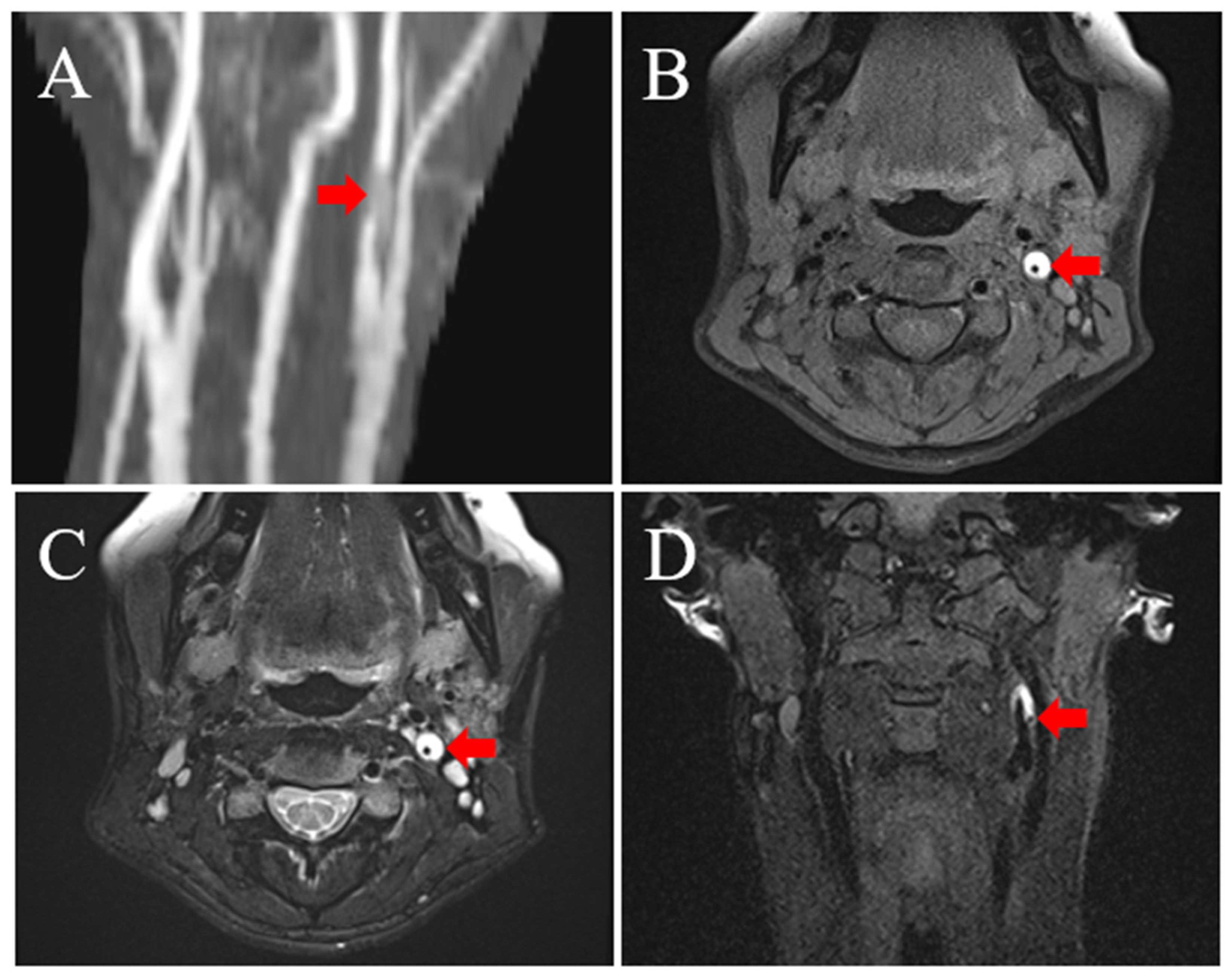 Medicina 58 00679 g002 Medicina 58 00679 g002