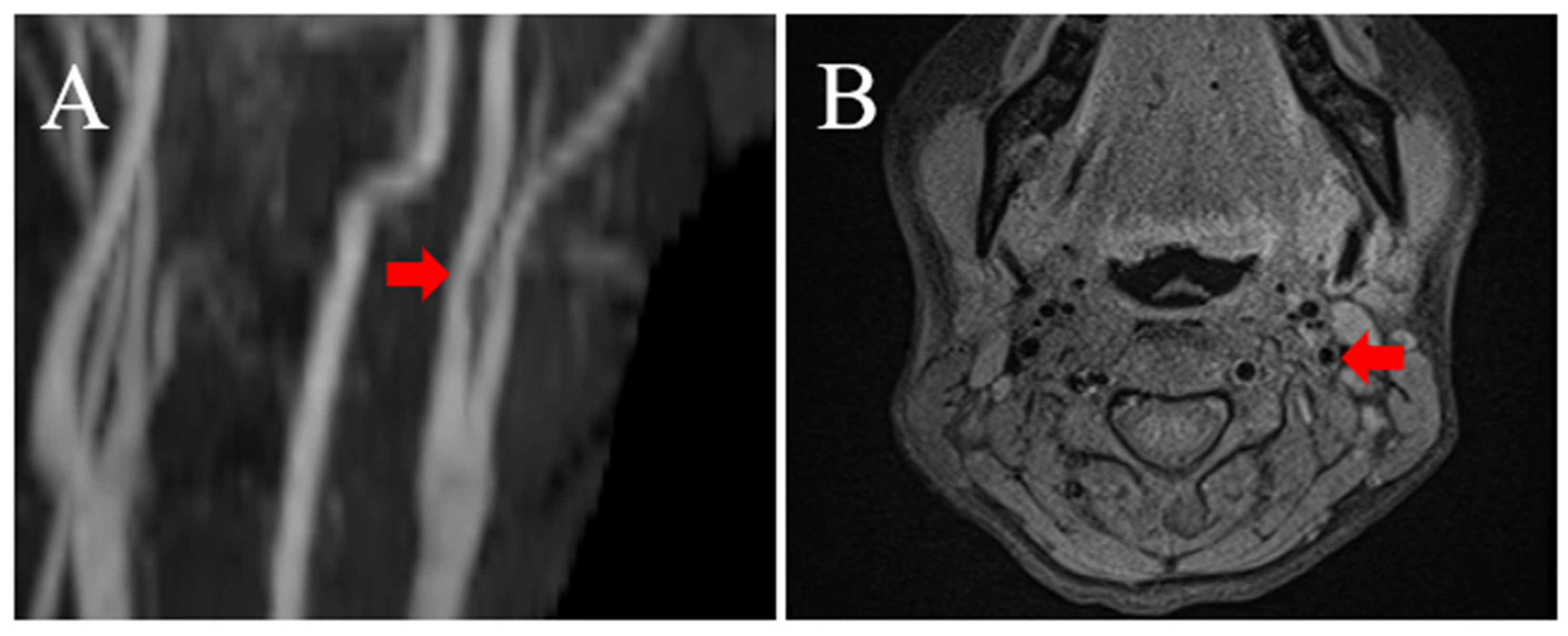 Medicina 58 00679 g003a Medicina 58 00679 g003a