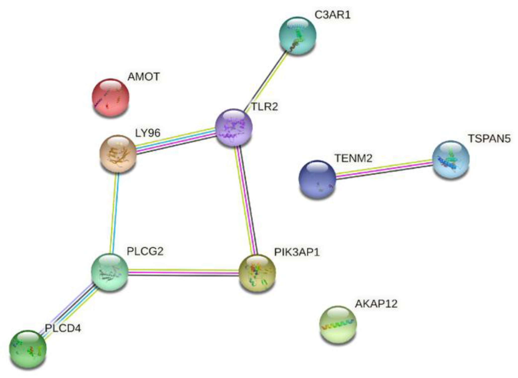 Medicina 58 00681 g004