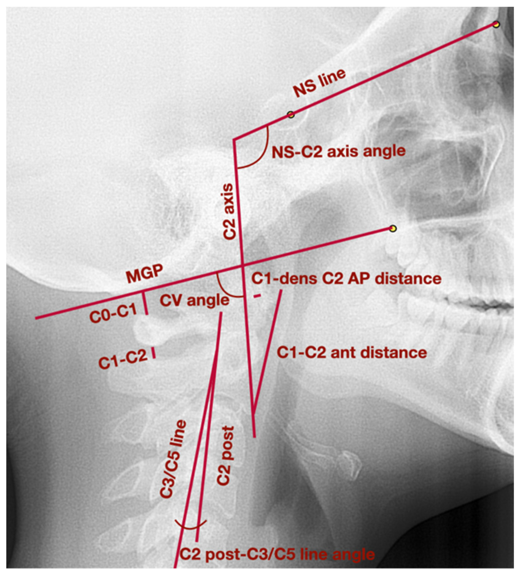 Medicina 58 00684 g002 550