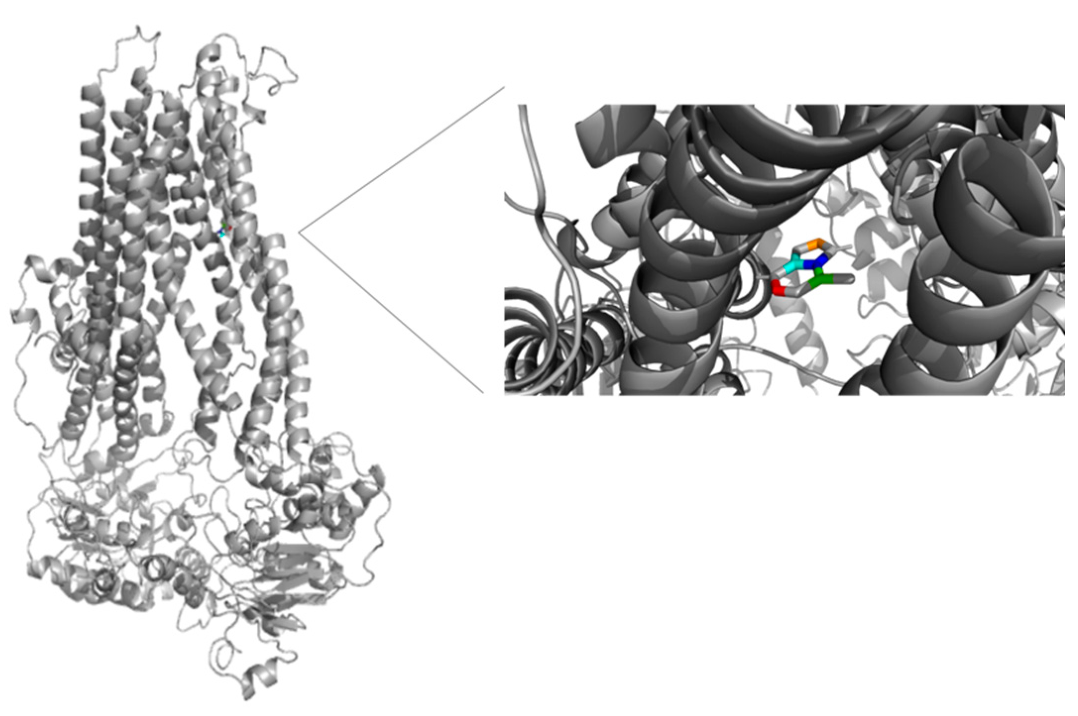 Medicina 58 00695 g009 Medicina 58 00695 g009