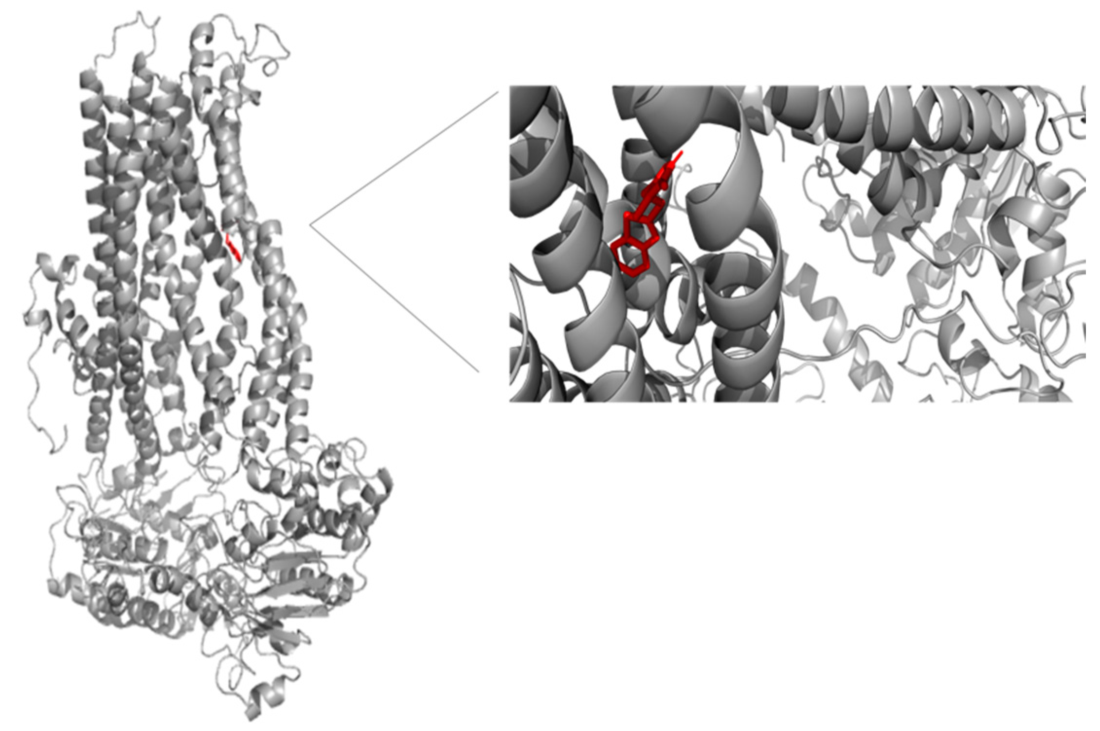 Medicina 58 00695 g010 Medicina 58 00695 g010