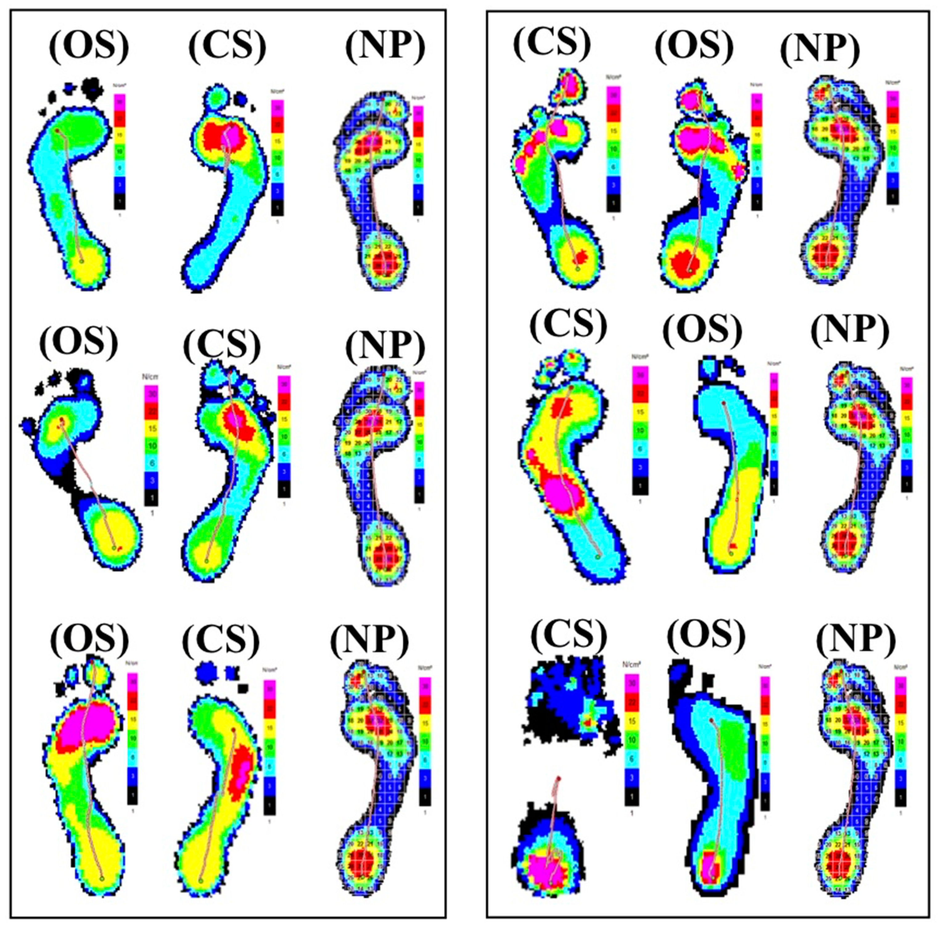 Medicina 58 00696 g001 550