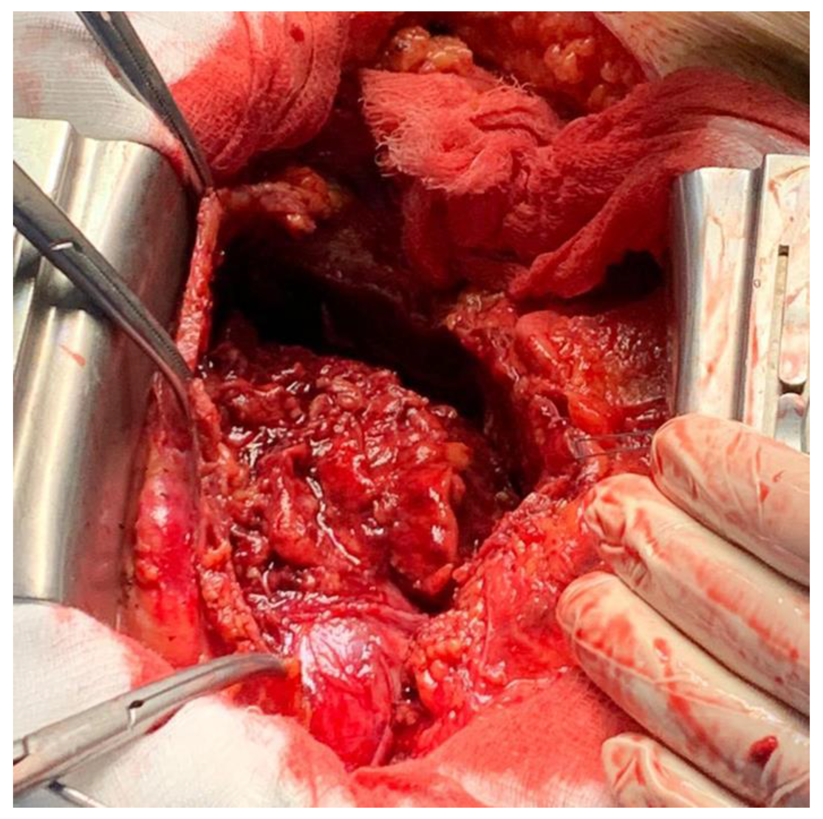 Medicina 58 00699 g003