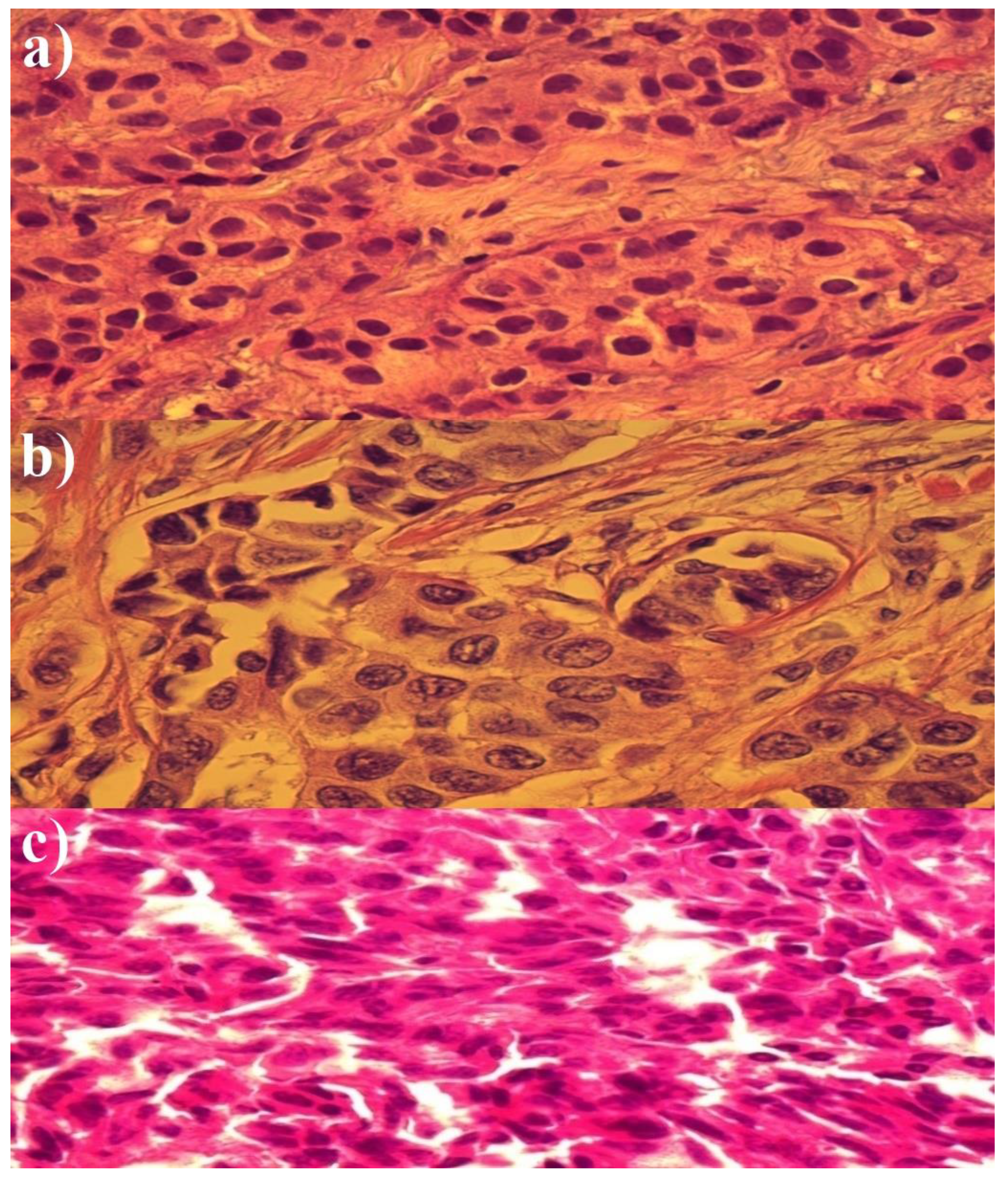 Medicina 58 00700 g001