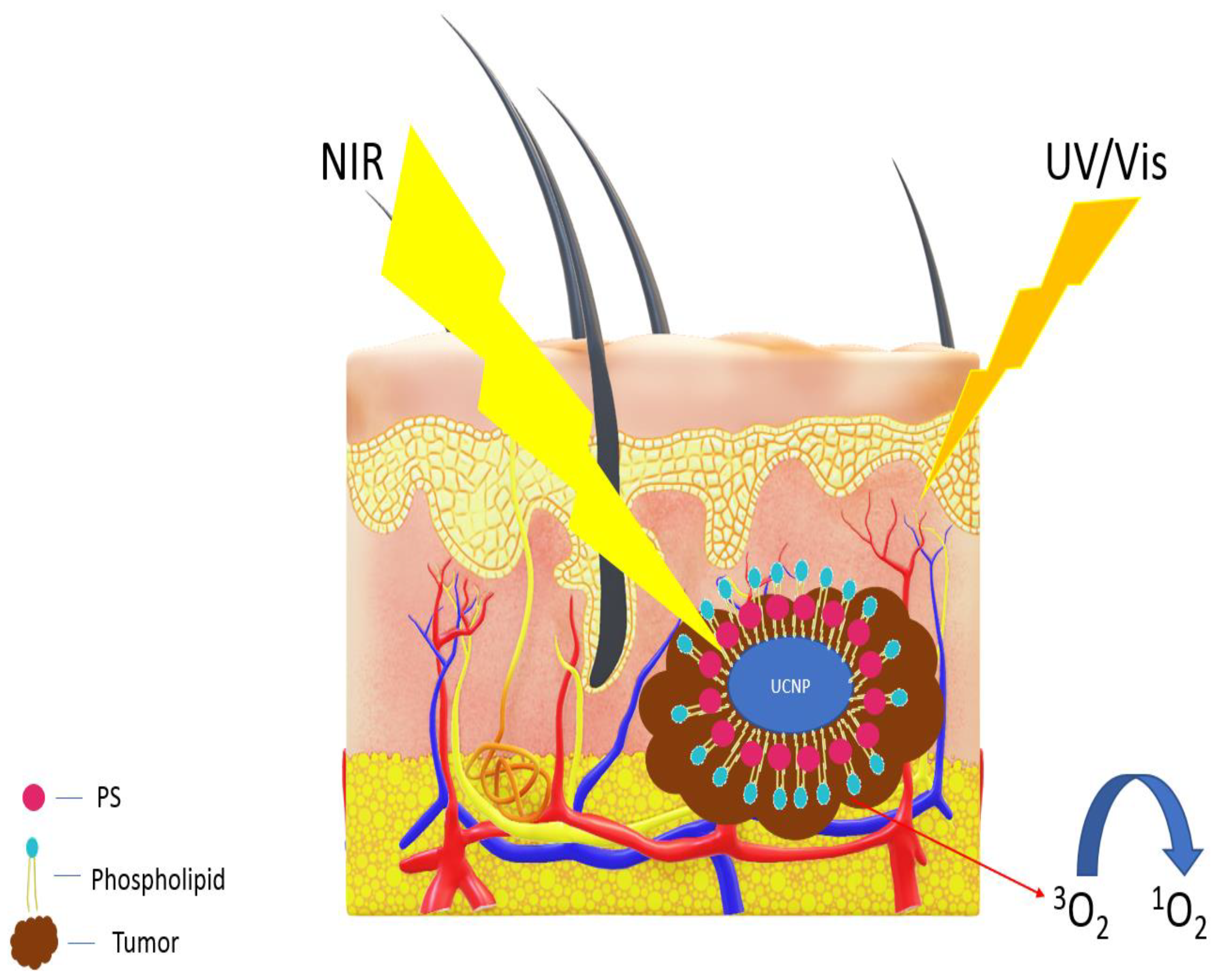 Medicina 58 00700 g004