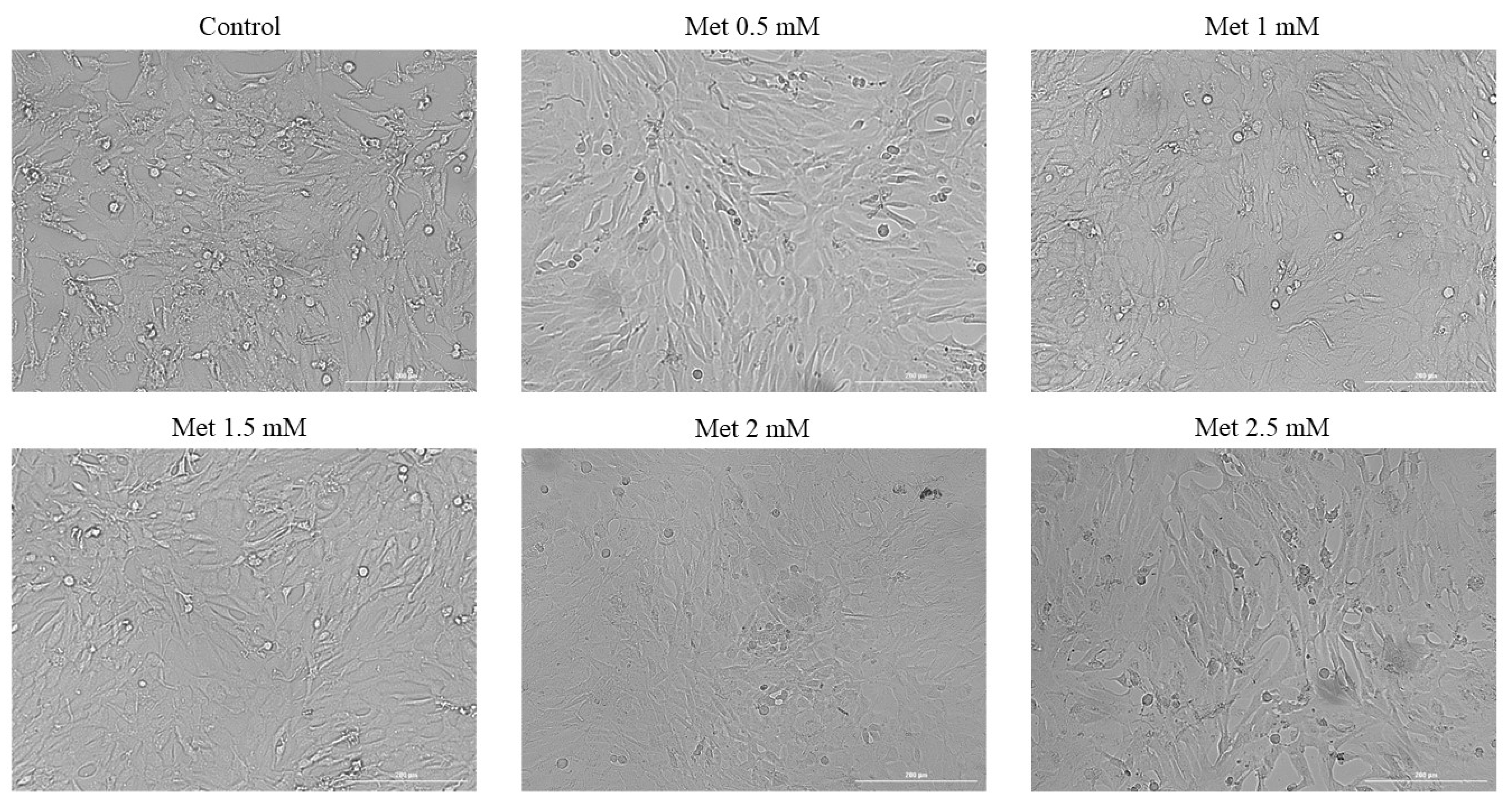 Medicina 58 00705 g003 Medicina 58 00705 g003