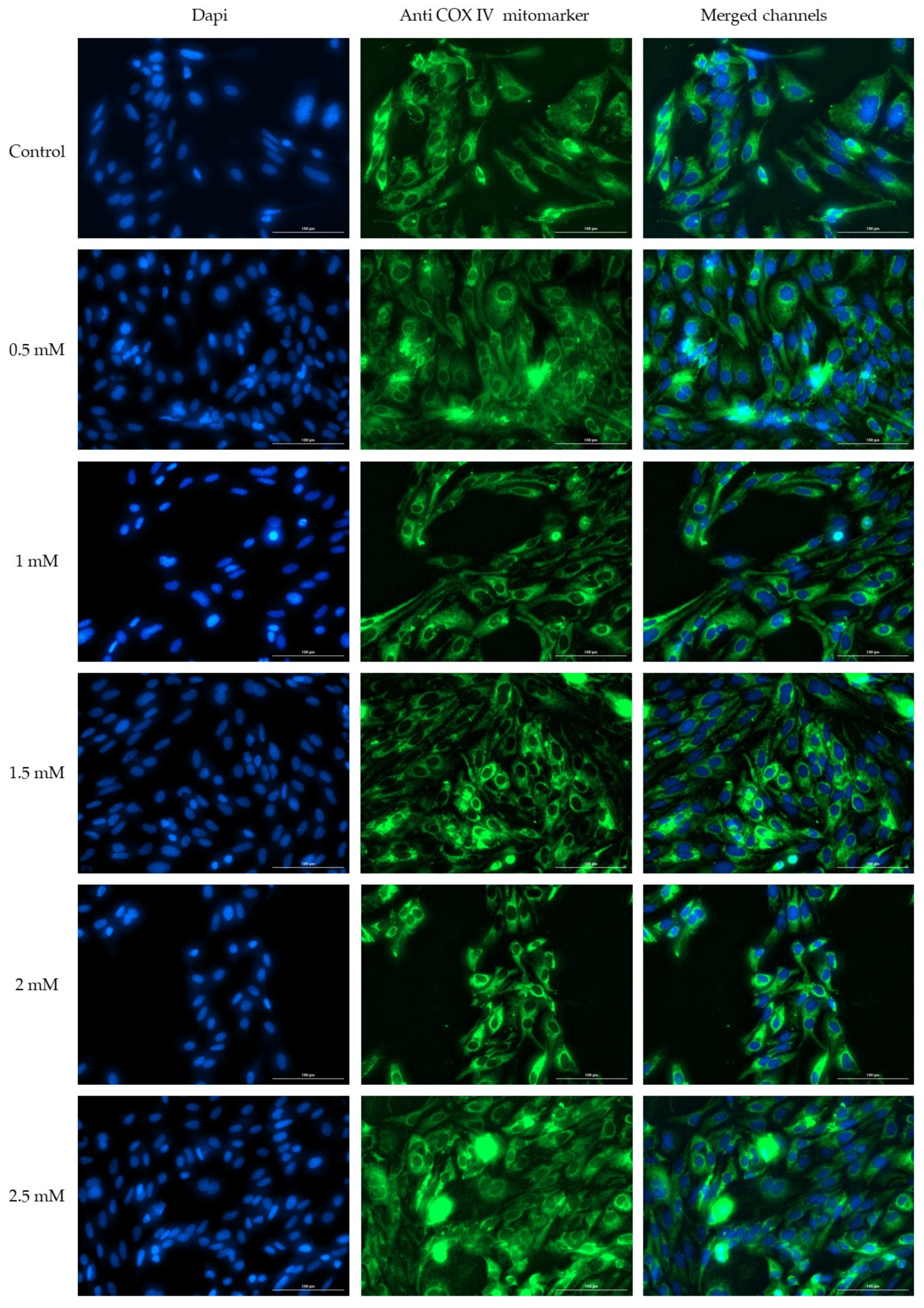 Medicina 58 00705 g005 Medicina 58 00705 g005