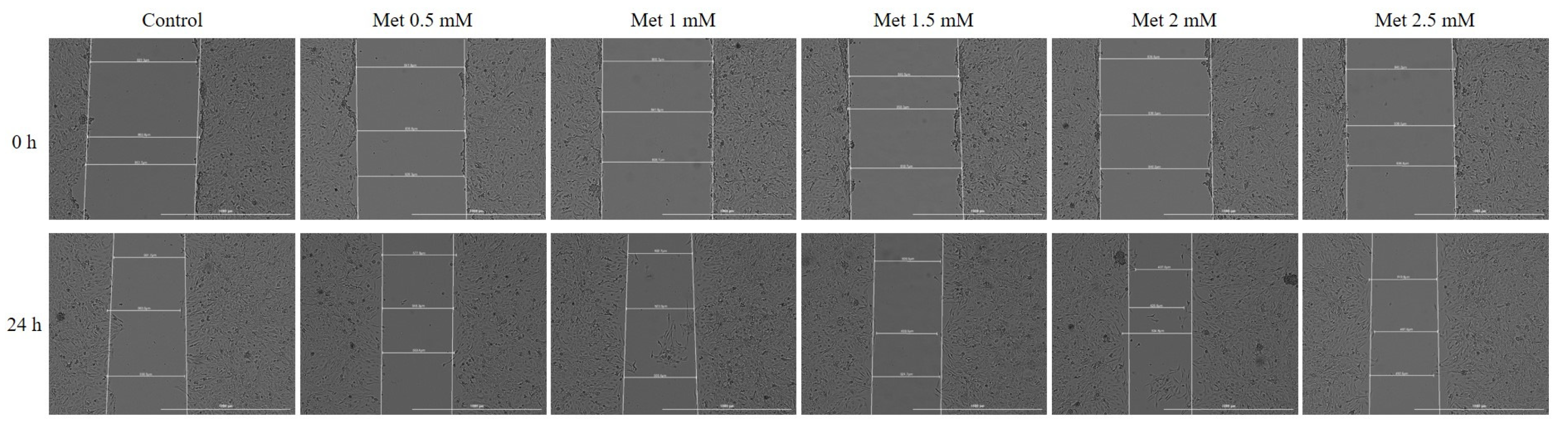 Medicina 58 00705 g006 Medicina 58 00705 g006