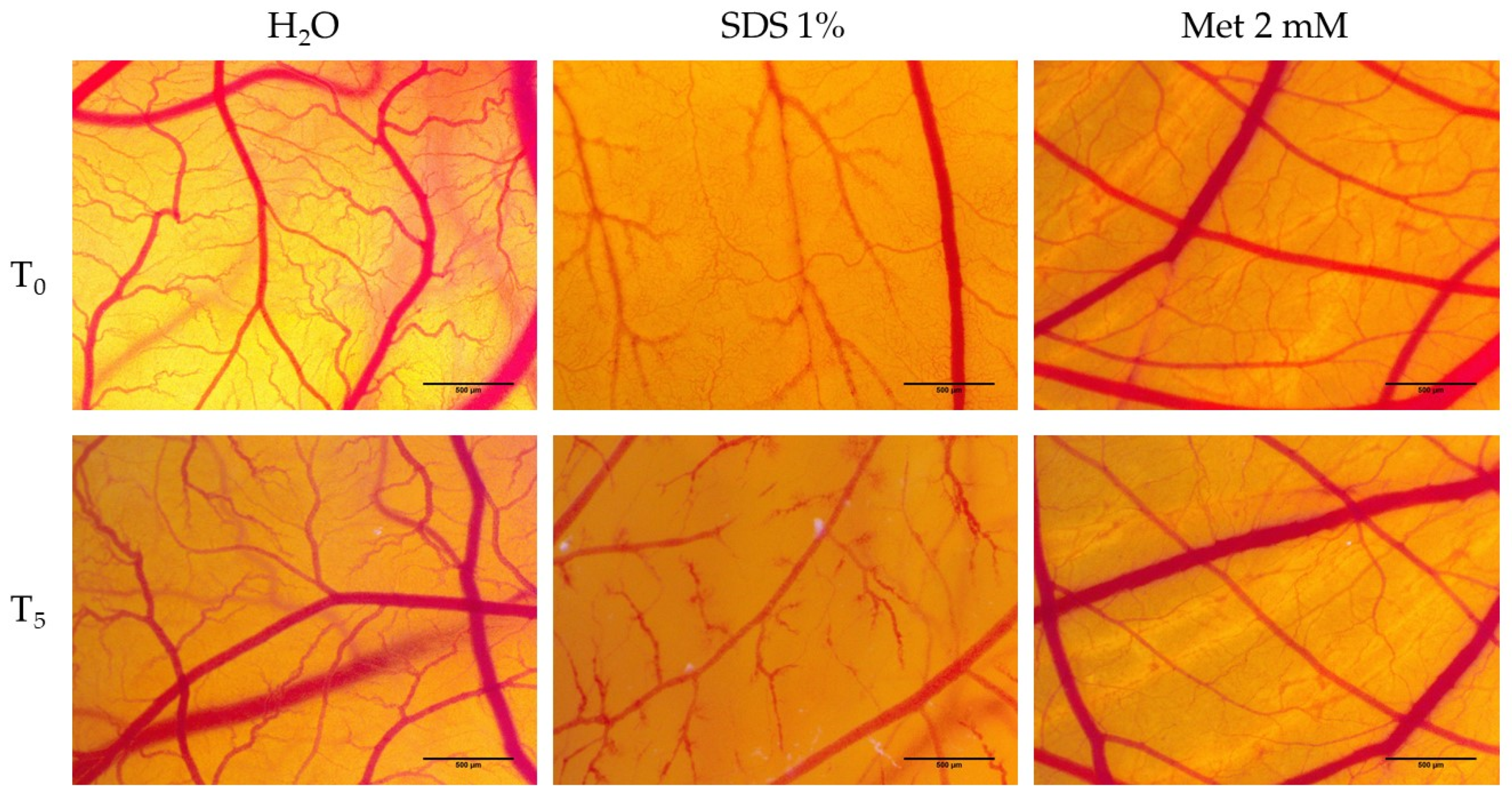 Medicina 58 00705 g008 Medicina 58 00705 g008