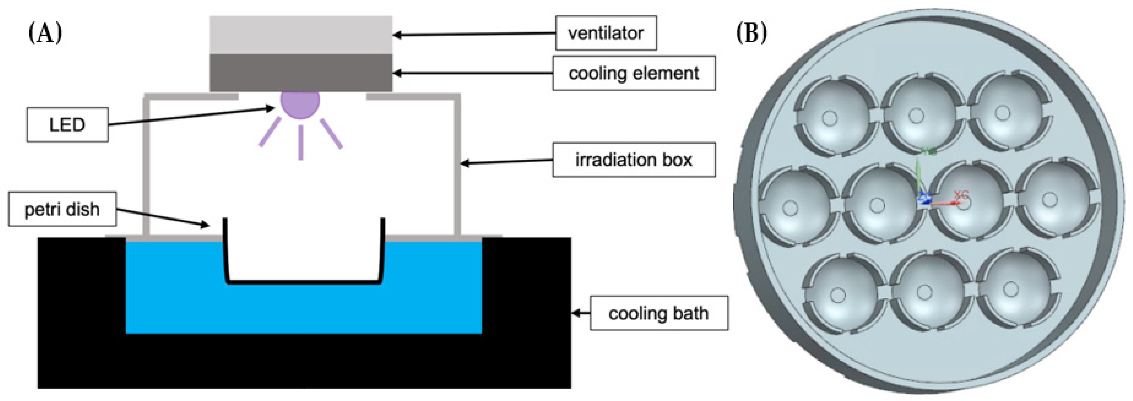 Medicina 58 00721 g001 550