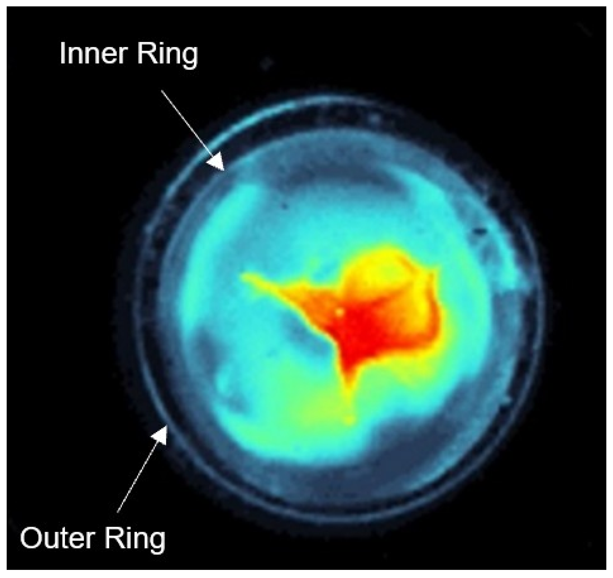 Medicina 58 00721 g003 550