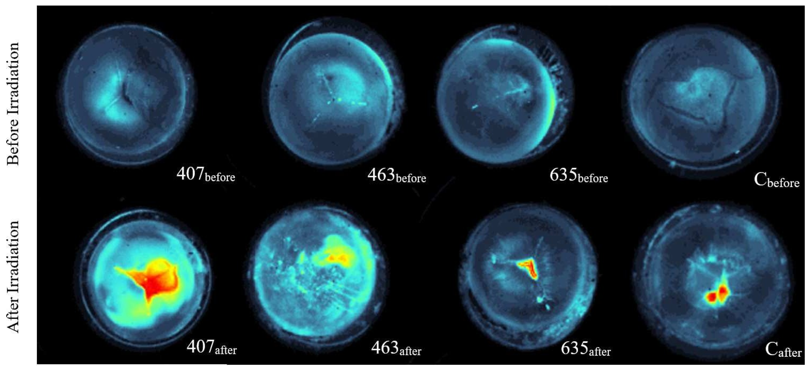 Medicina 58 00721 g004 550