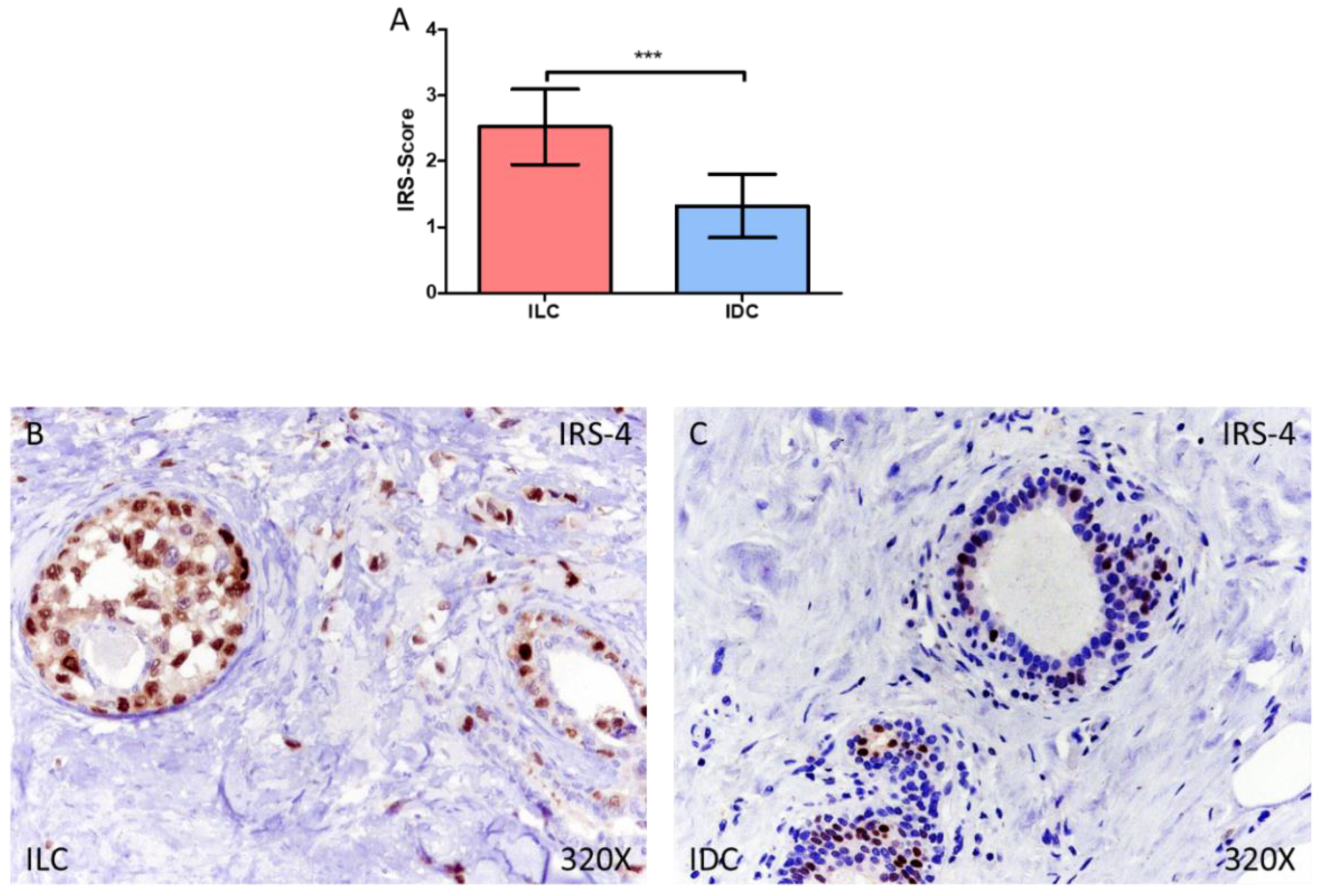 Medicina 58 00722 g001 550