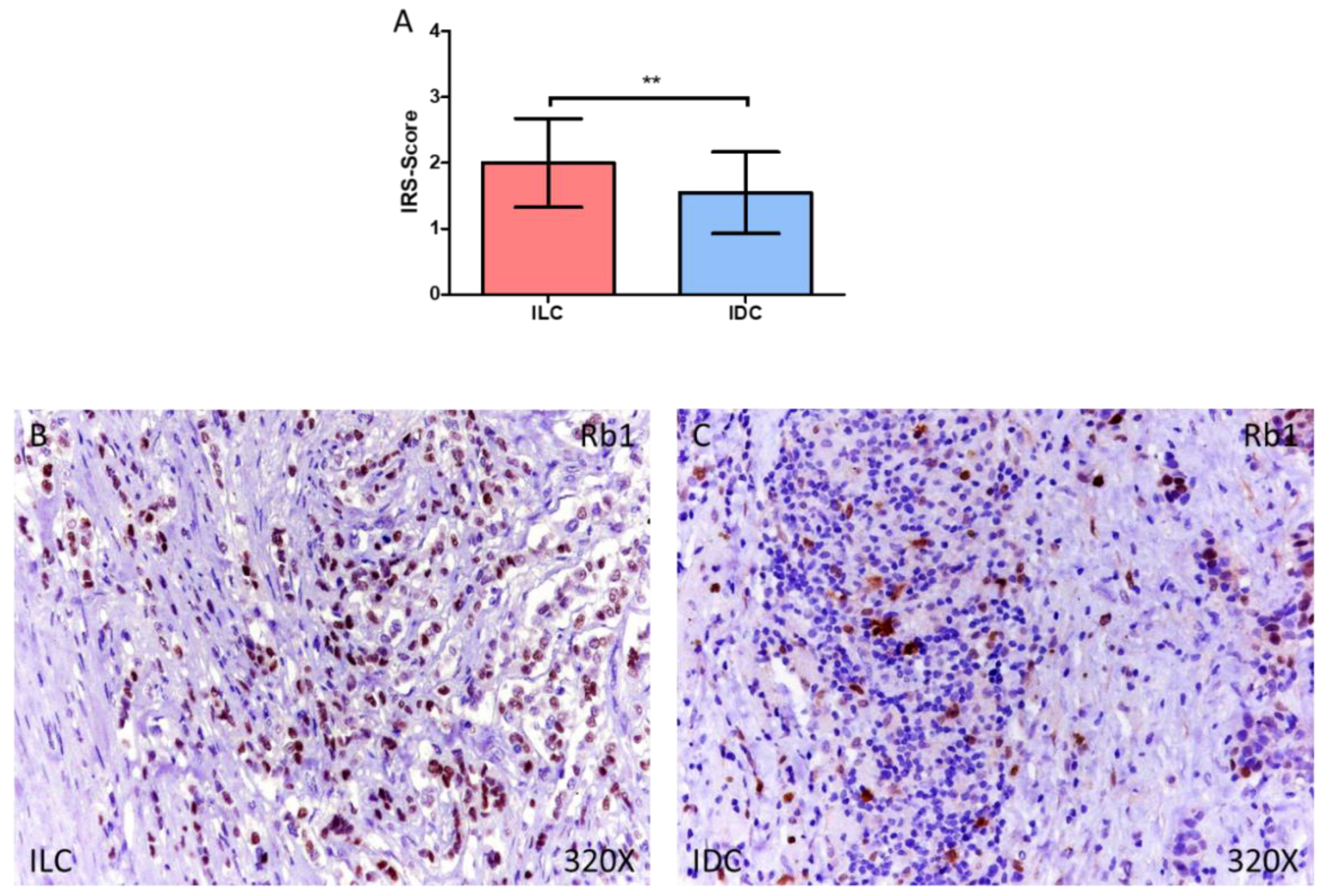 Medicina 58 00722 g003 550