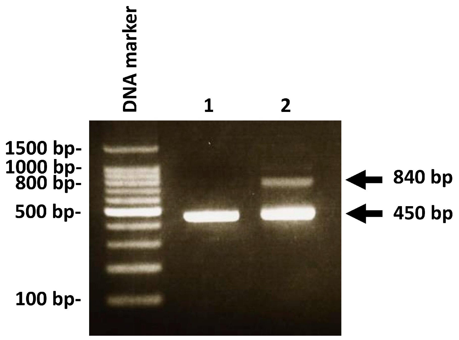Medicina 58 00723 g001 550