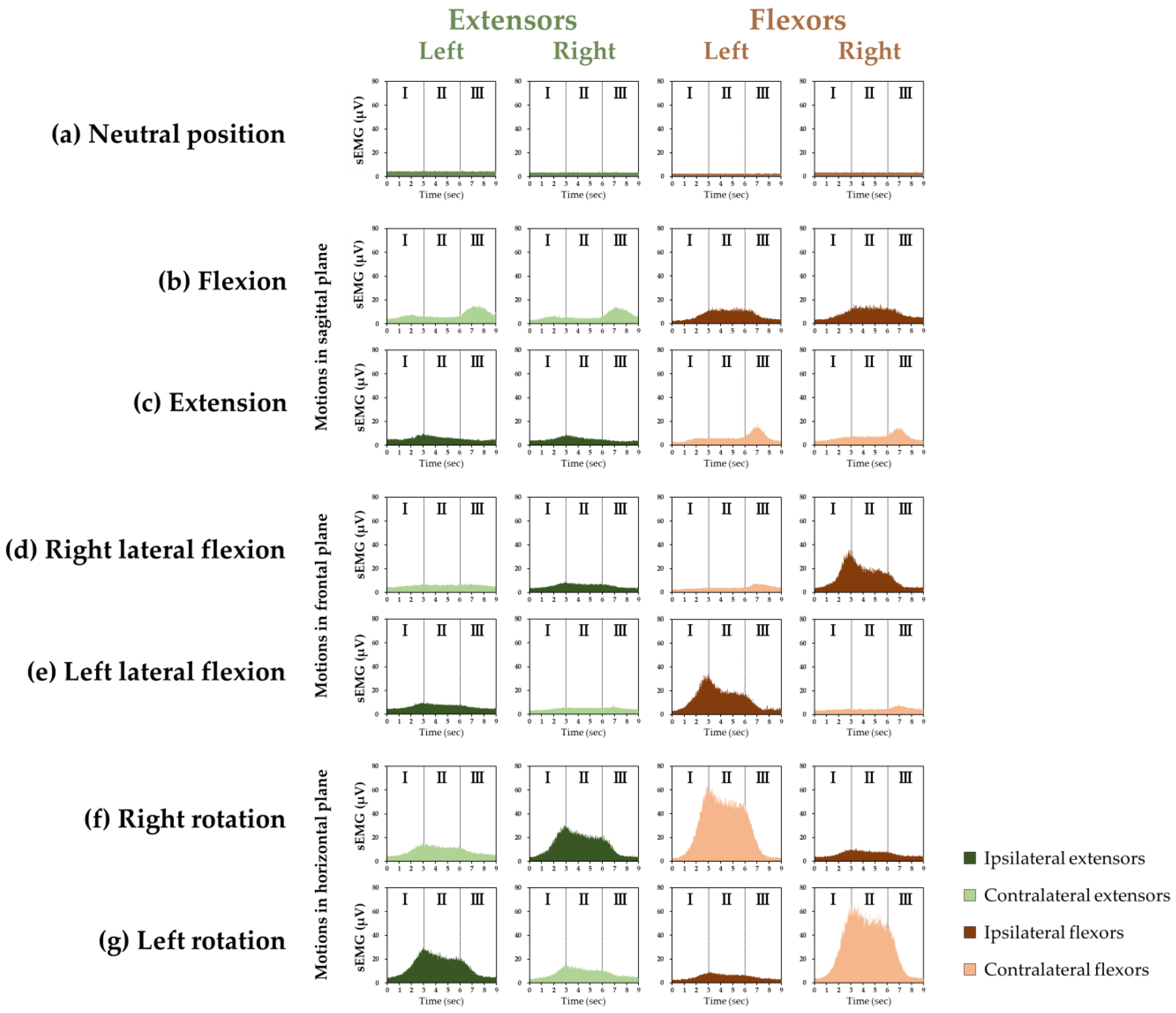 Medicina 58 00728 g001
